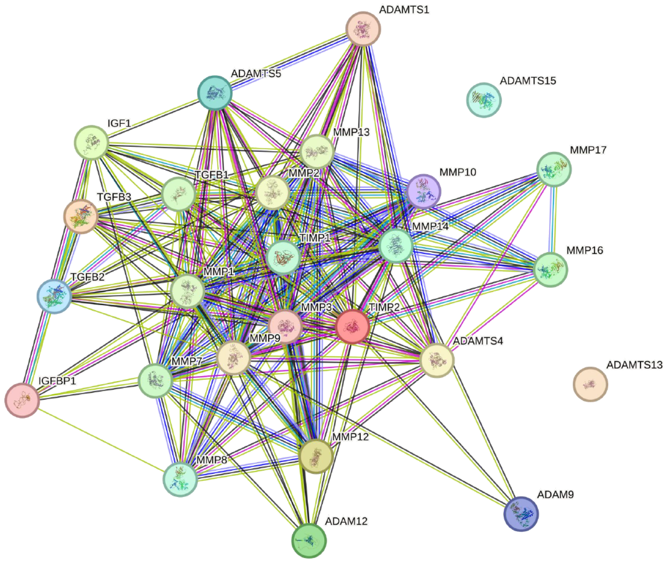 Ijms 26 00321 g003 Ijms 26 00321 g003