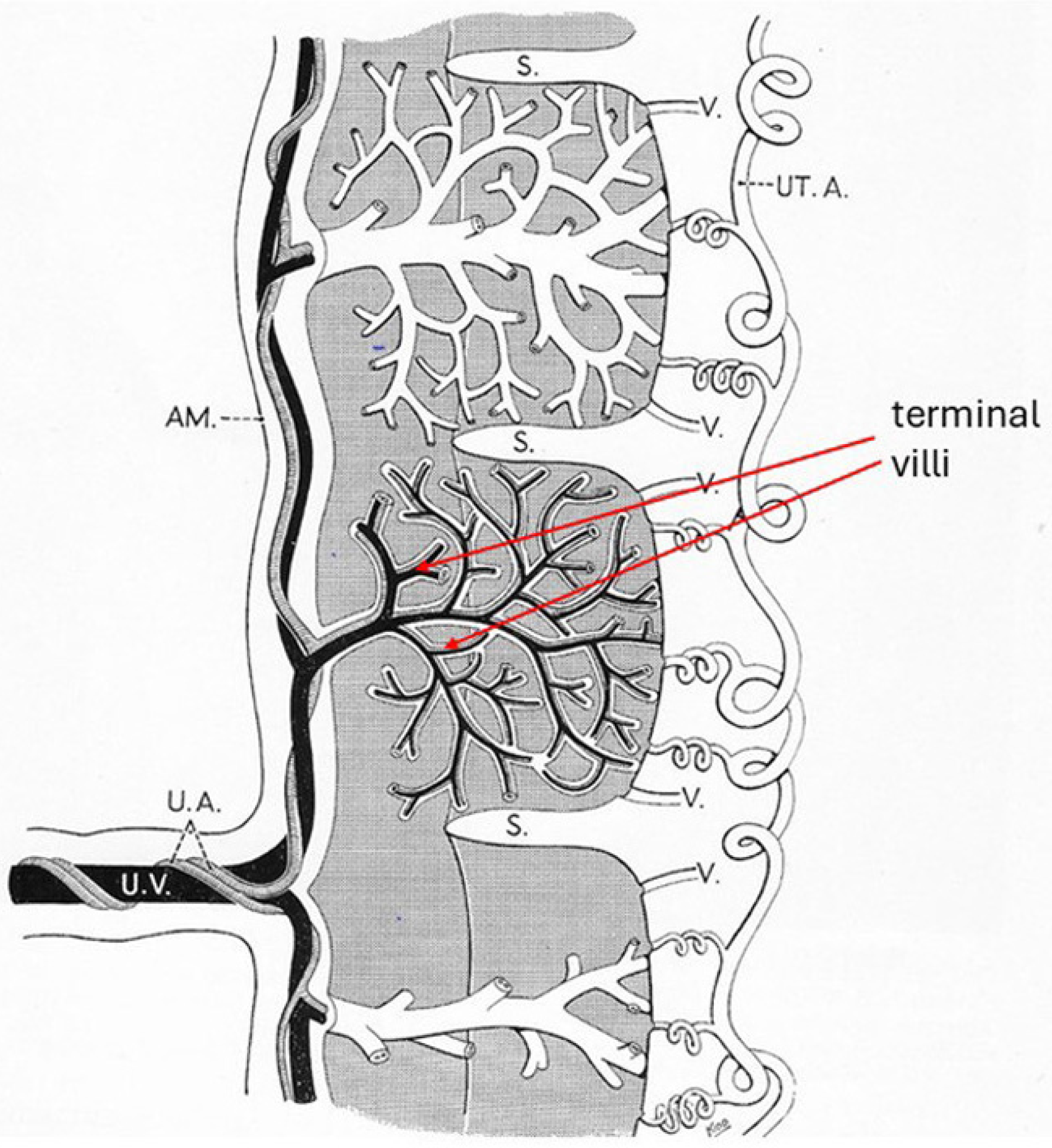 Ijms 26 00383 g002 Ijms 26 00383 g002