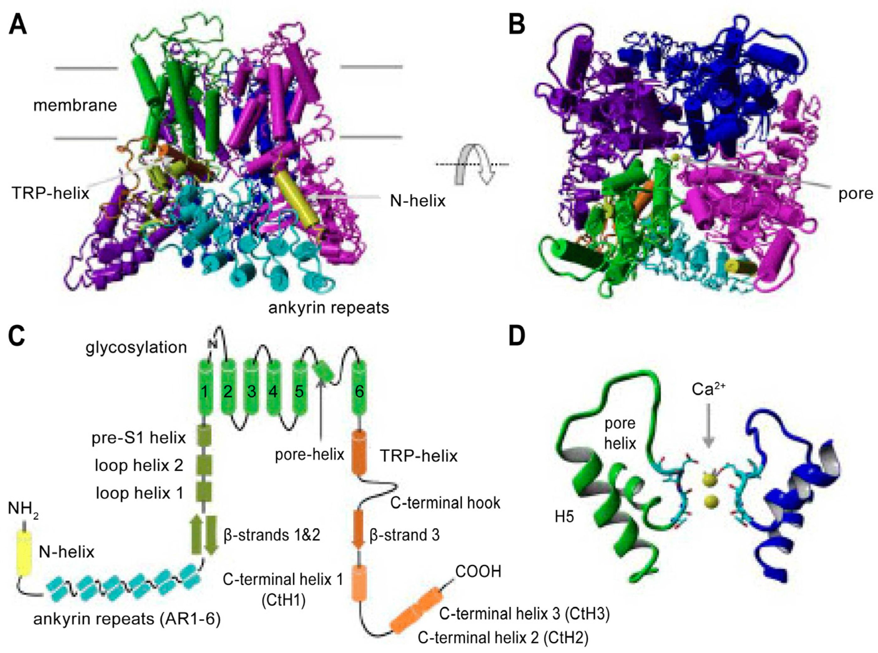 Ijms 26 00383 g006 Ijms 26 00383 g006
