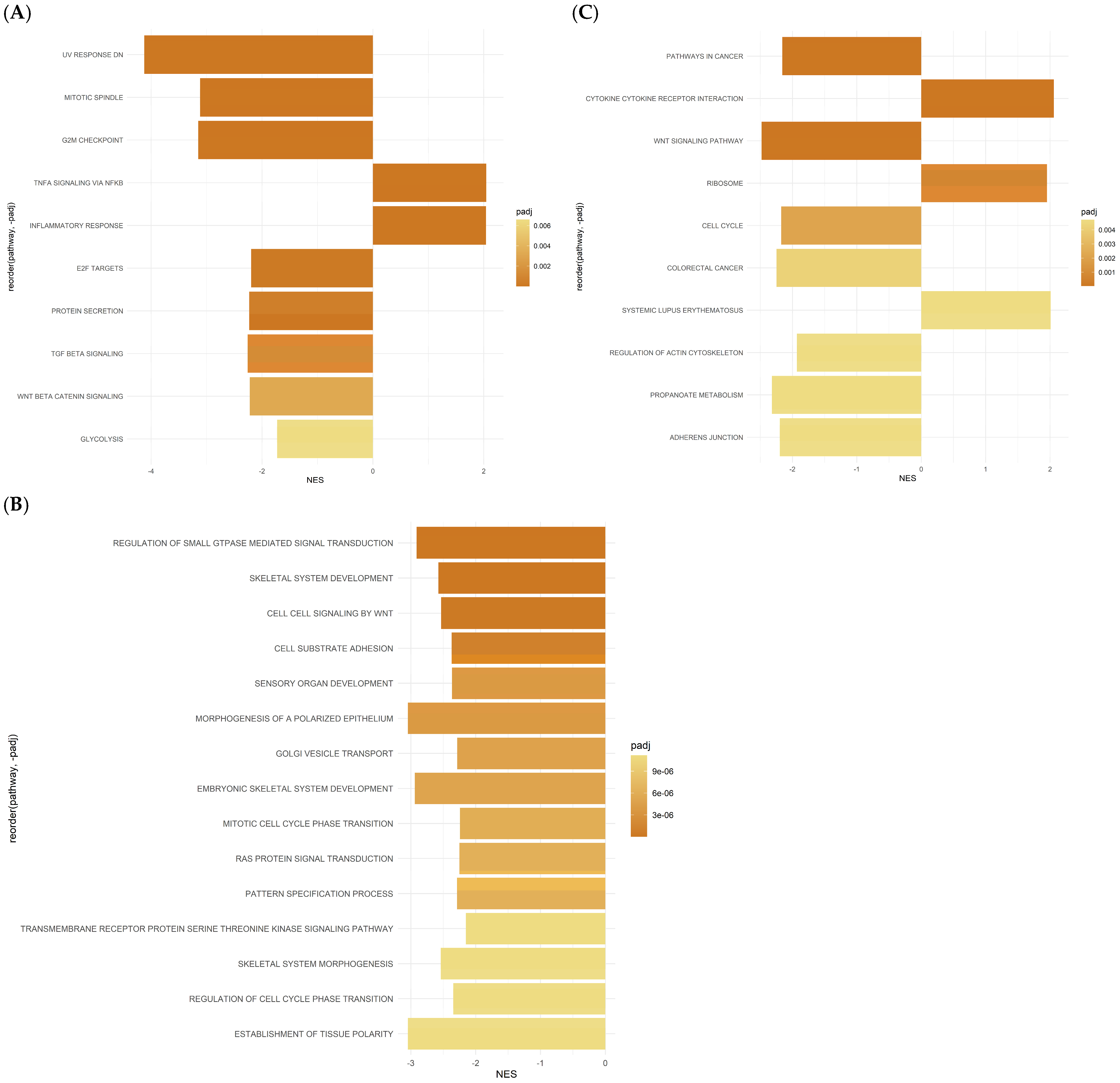Ijms 26 00390 g004 Ijms 26 00390 g004