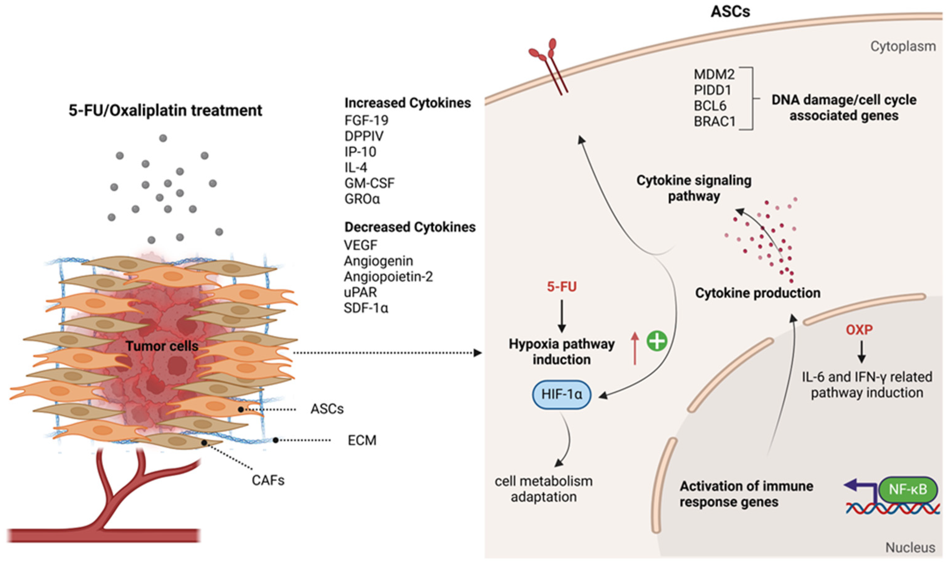 Ijms 26 00390 g007 Ijms 26 00390 g007