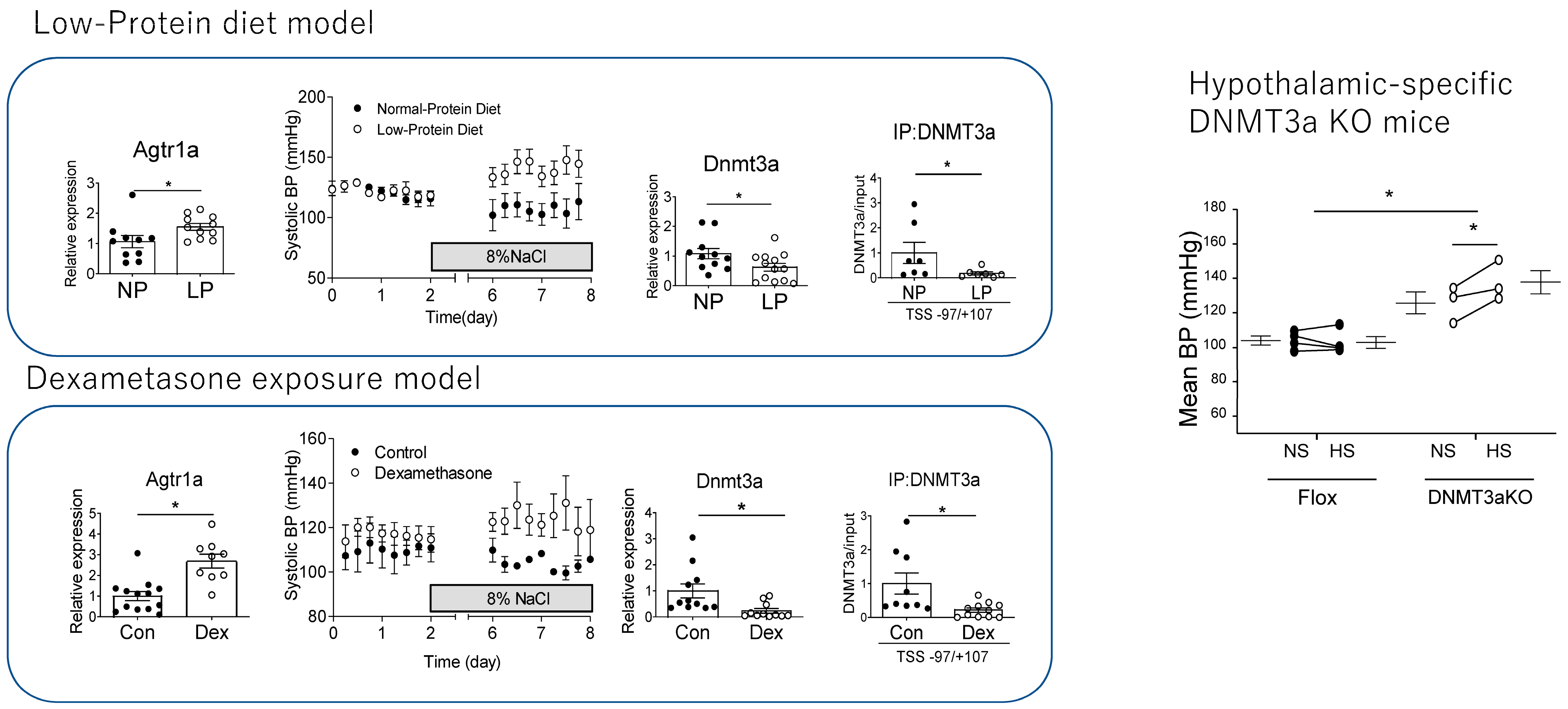 Ijms 26 00420 g001 Ijms 26 00420 g001