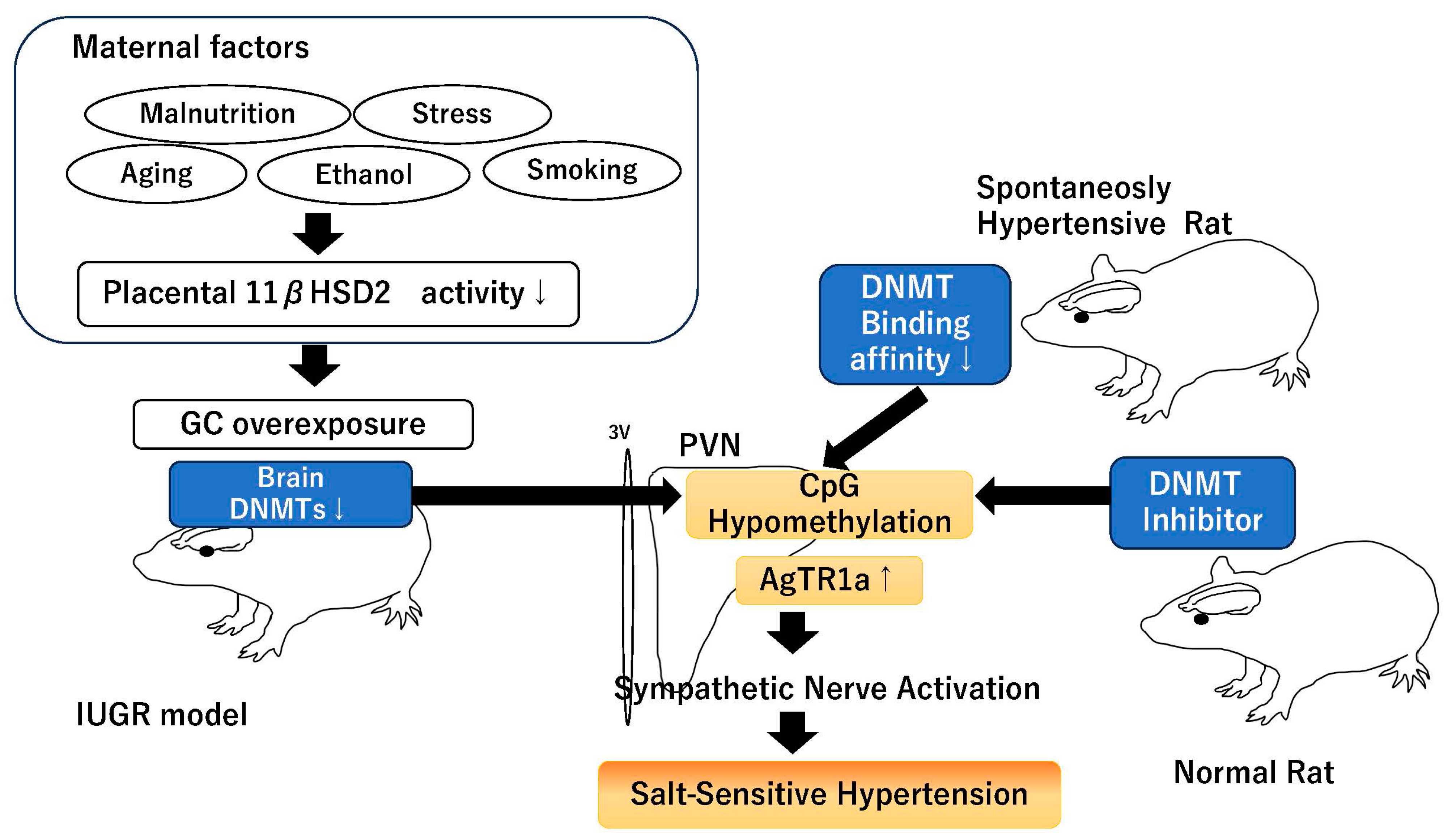 Ijms 26 00420 g002 Ijms 26 00420 g002