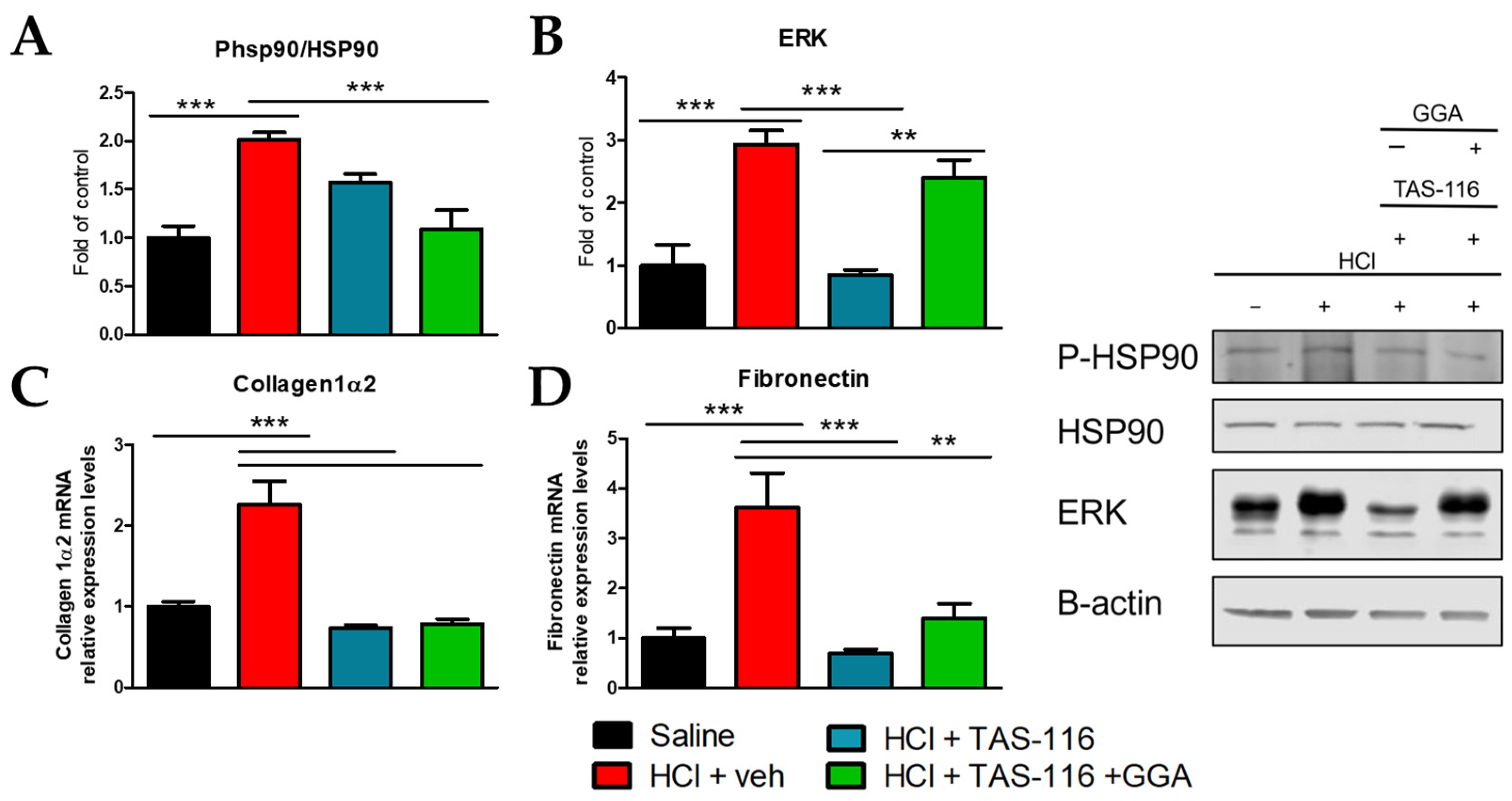 Ijms 26 00441 g002 Ijms 26 00441 g002