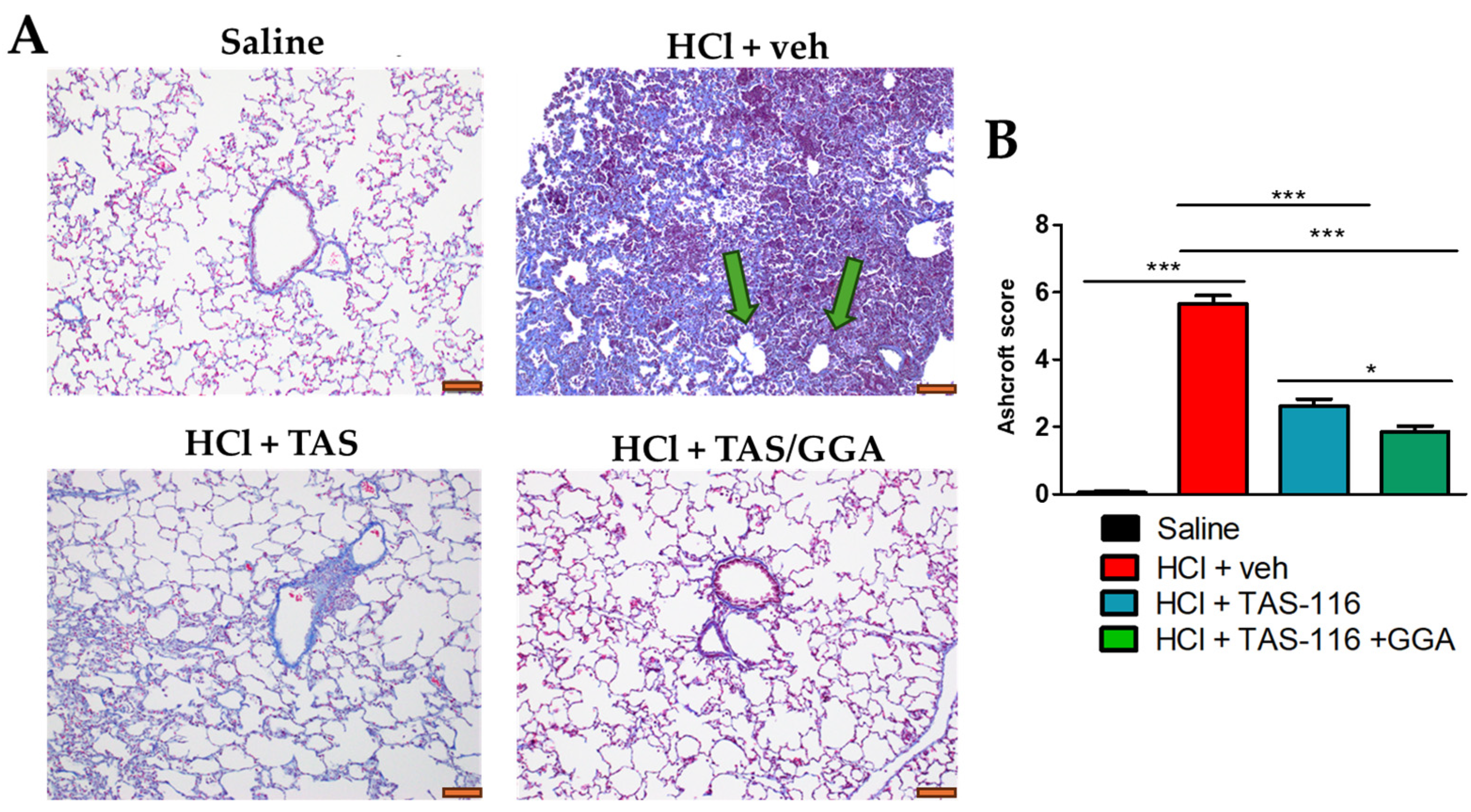 Ijms 26 00441 g003 Ijms 26 00441 g003