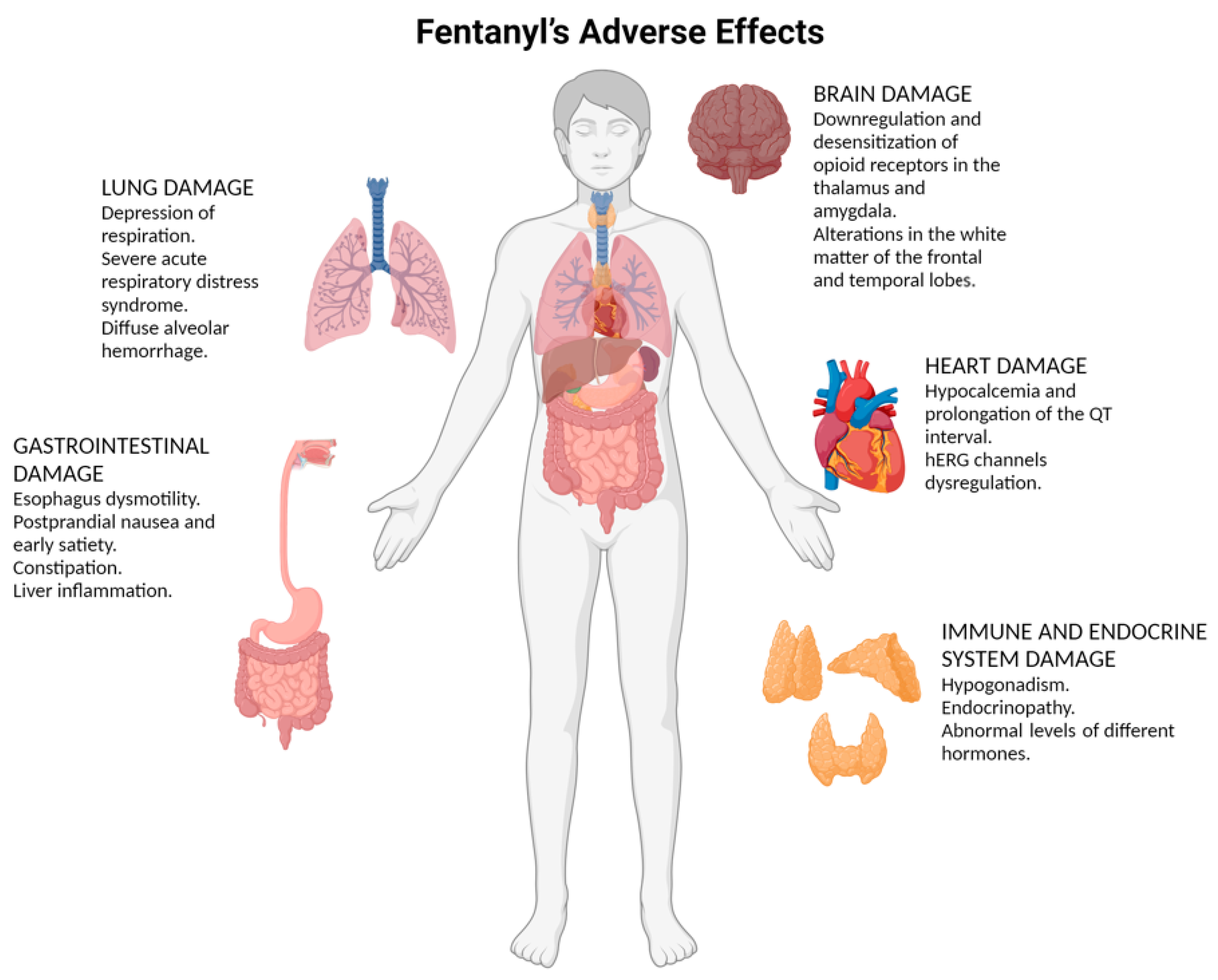 Ijms 26 00444 g001 Ijms 26 00444 g001