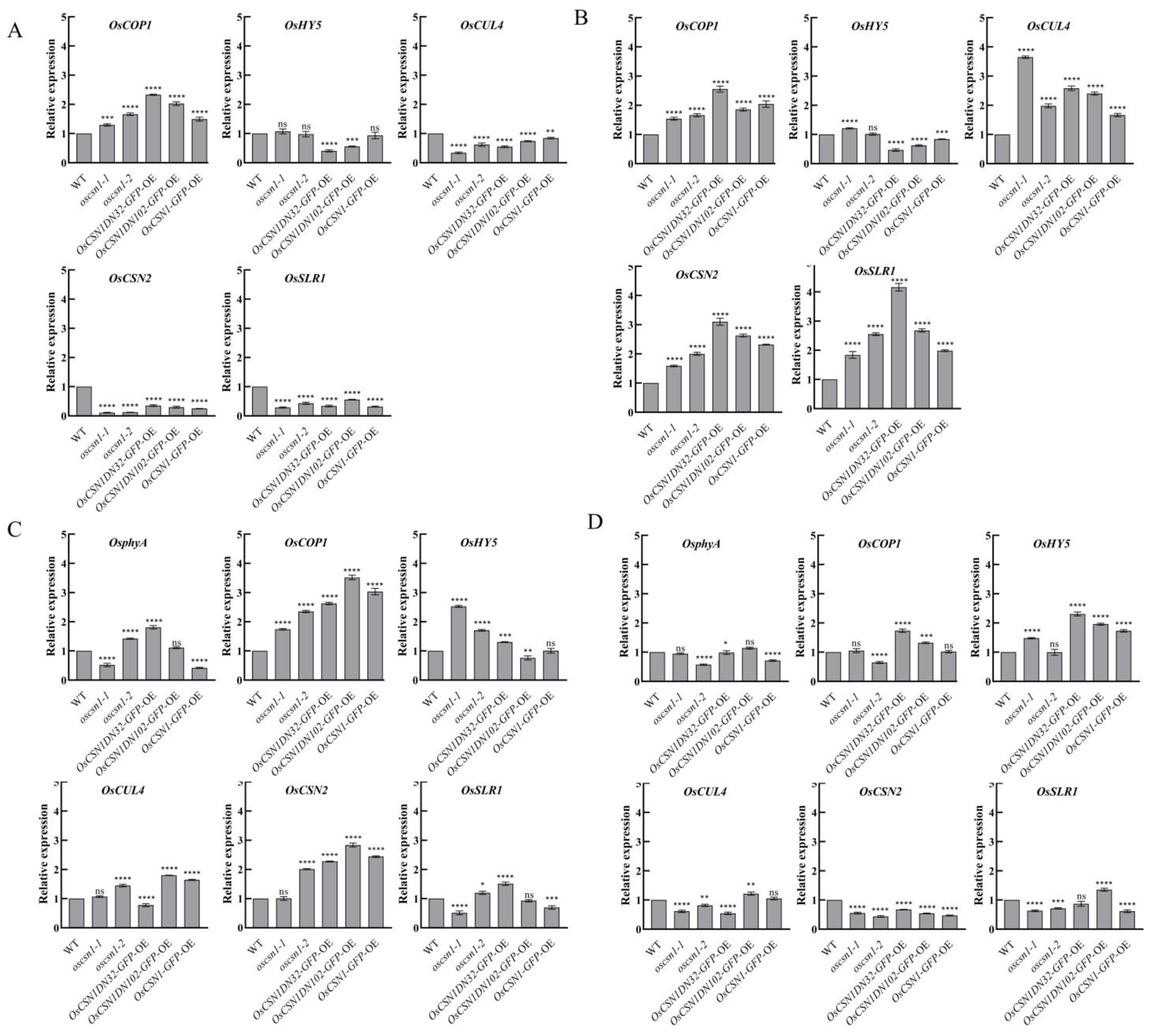 Ijms 26 00522 g003 Ijms 26 00522 g003