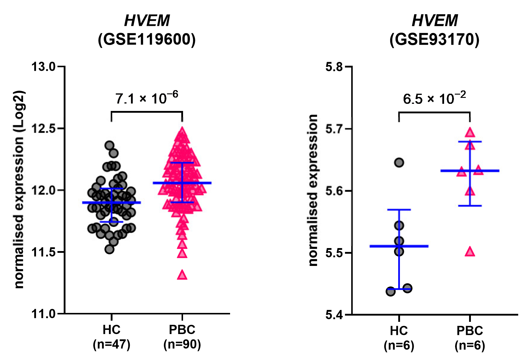 Ijms 26 00605 g006 Ijms 26 00605 g006