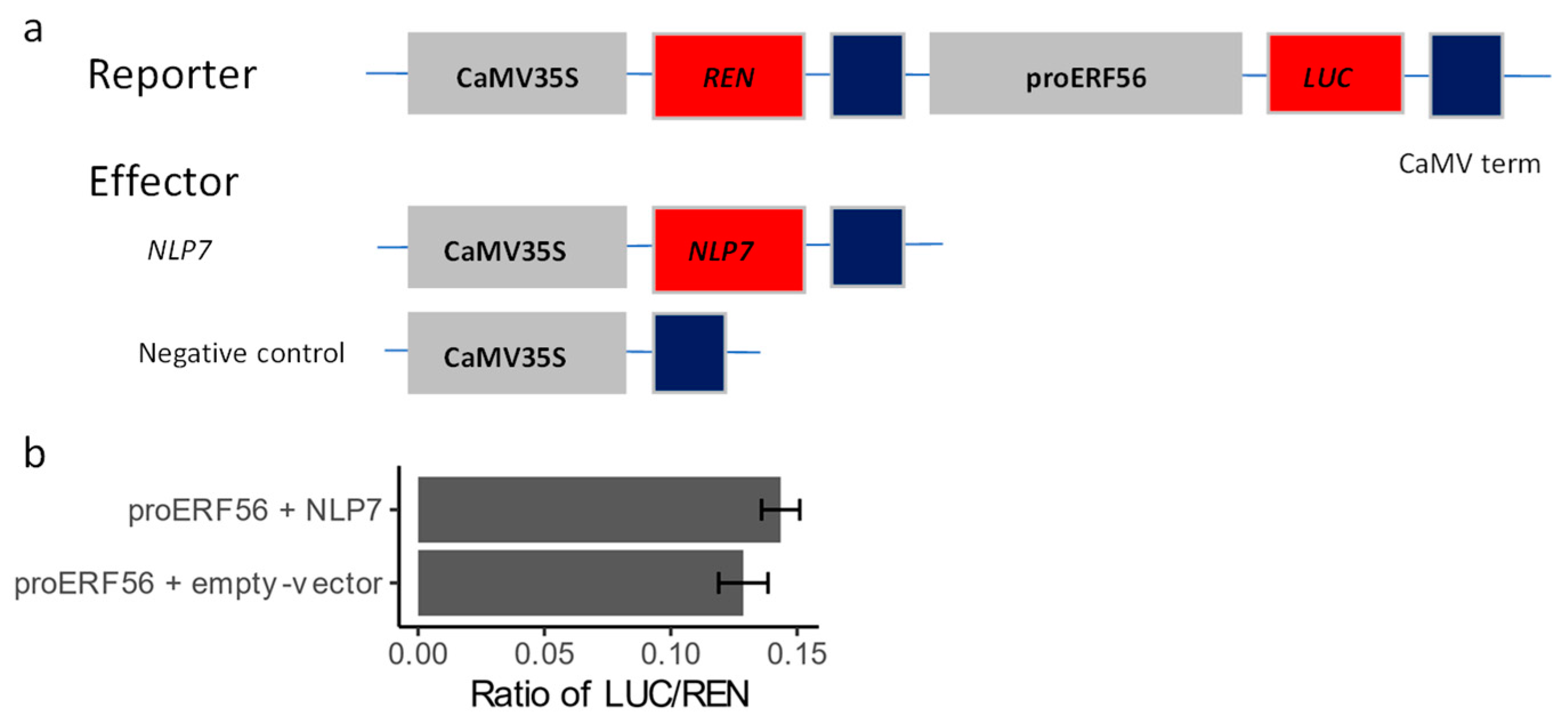 Ijms 26 00613 g006 Ijms 26 00613 g006