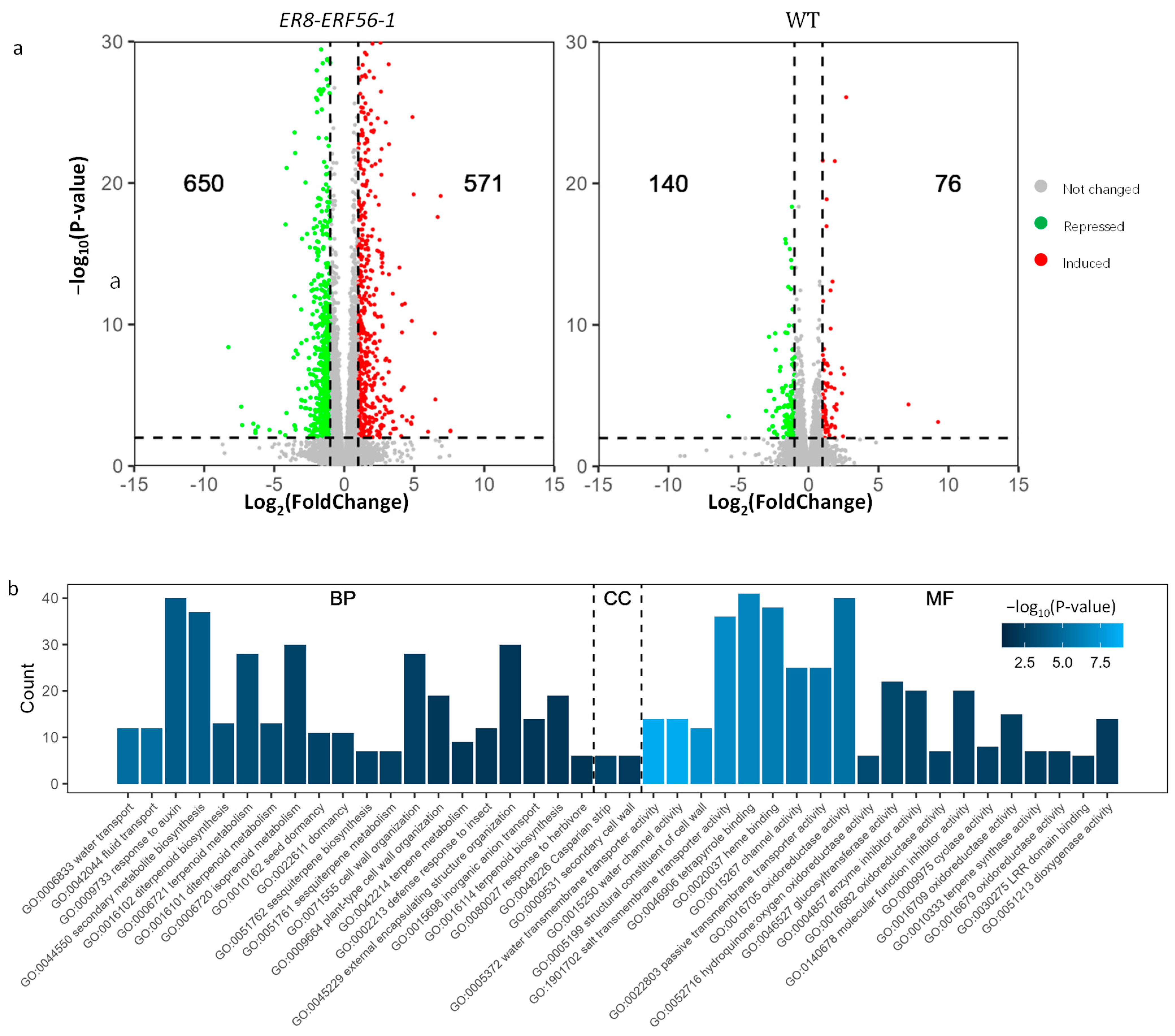 Ijms 26 00613 g007 Ijms 26 00613 g007
