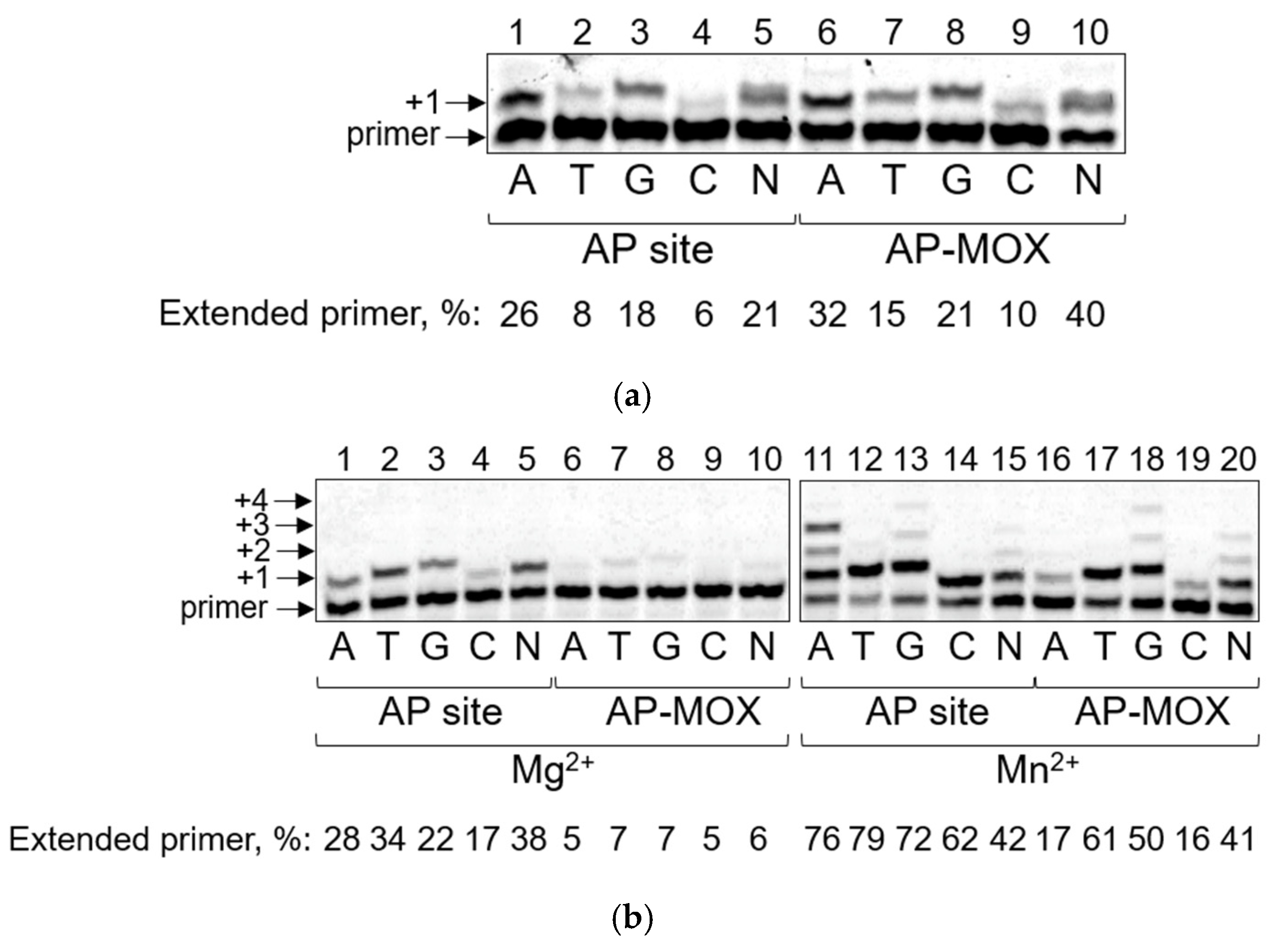 Ijms 26 00642 g001 Ijms 26 00642 g001