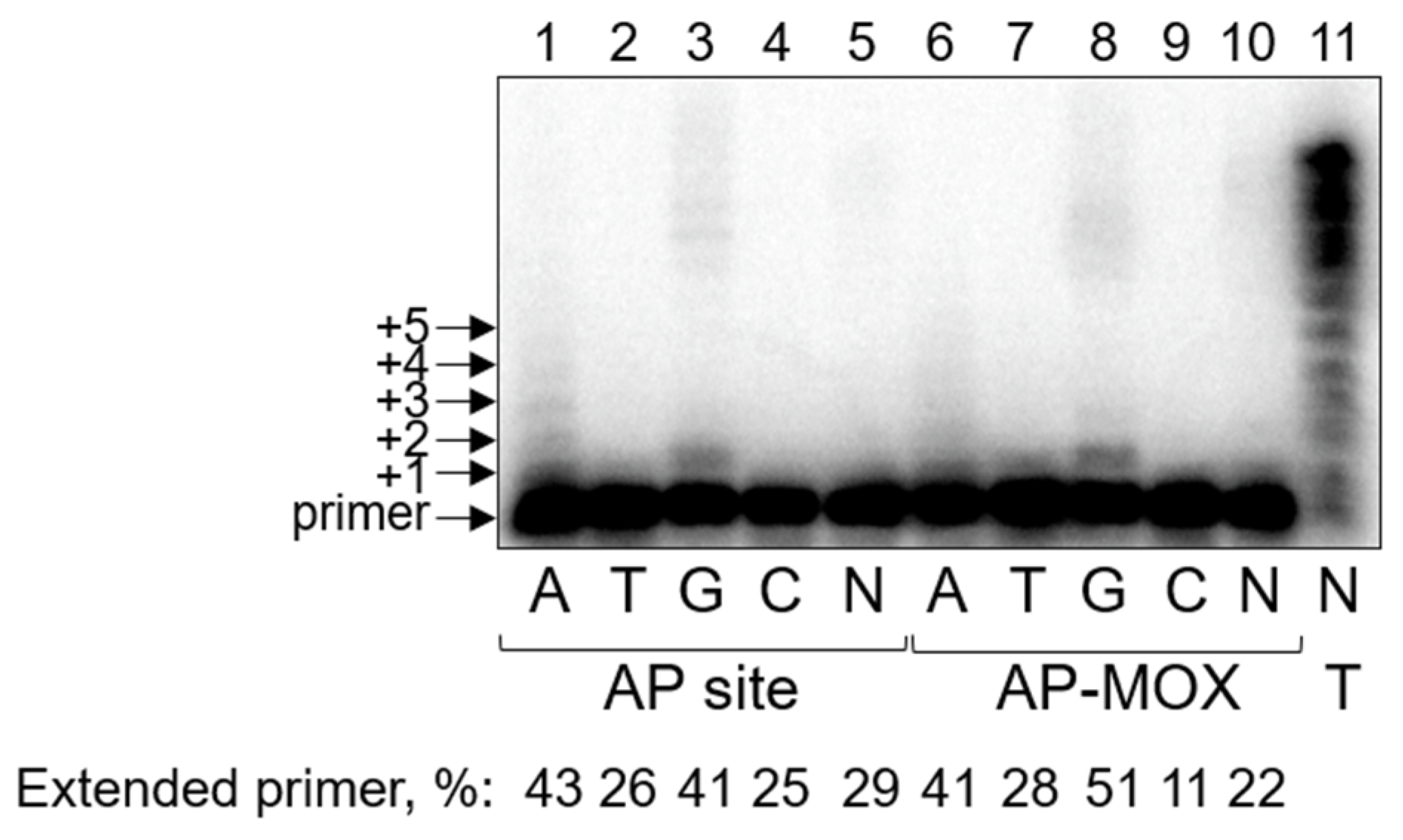 Ijms 26 00642 g003 Ijms 26 00642 g003
