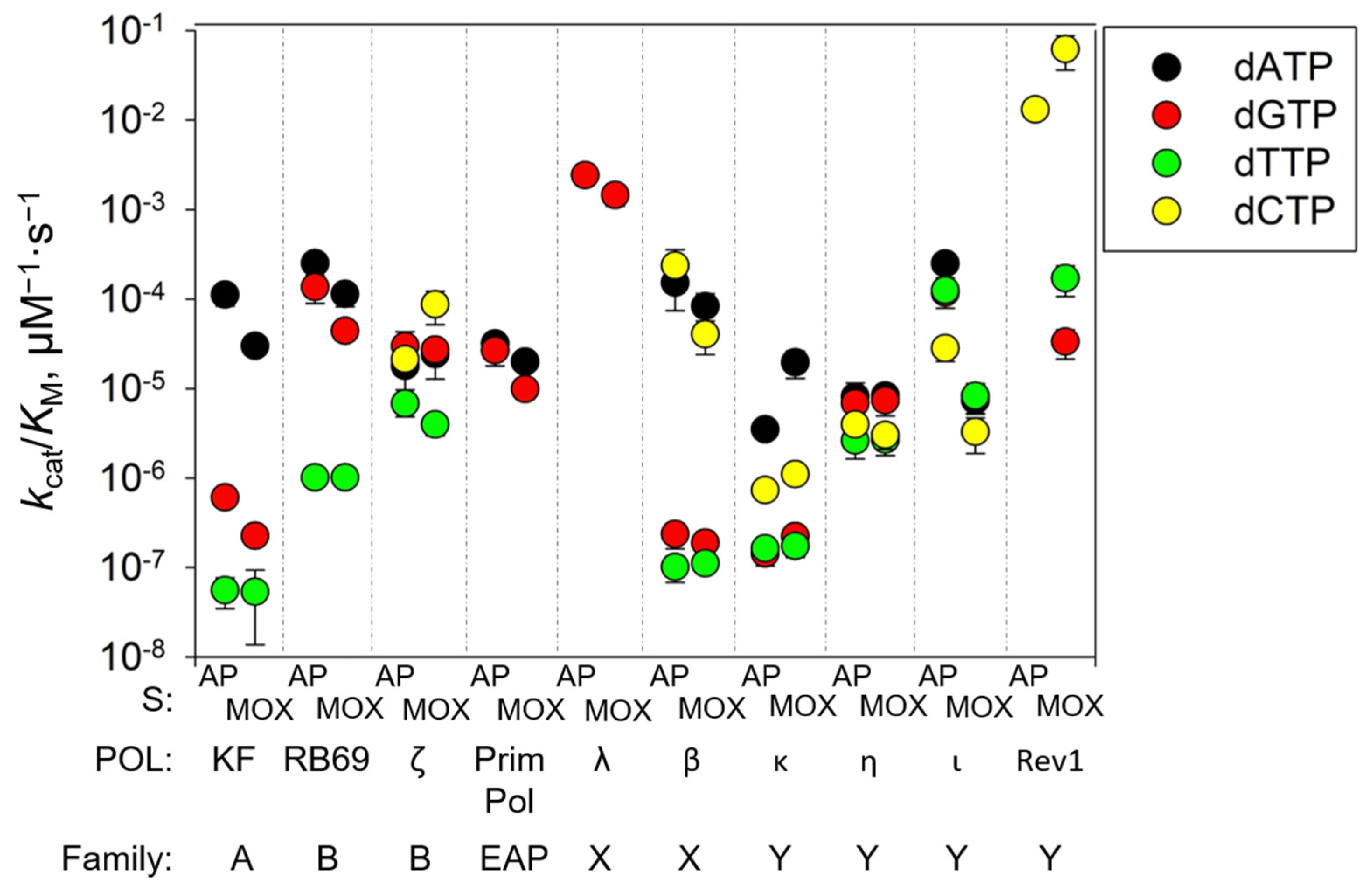 Ijms 26 00642 g005 Ijms 26 00642 g005