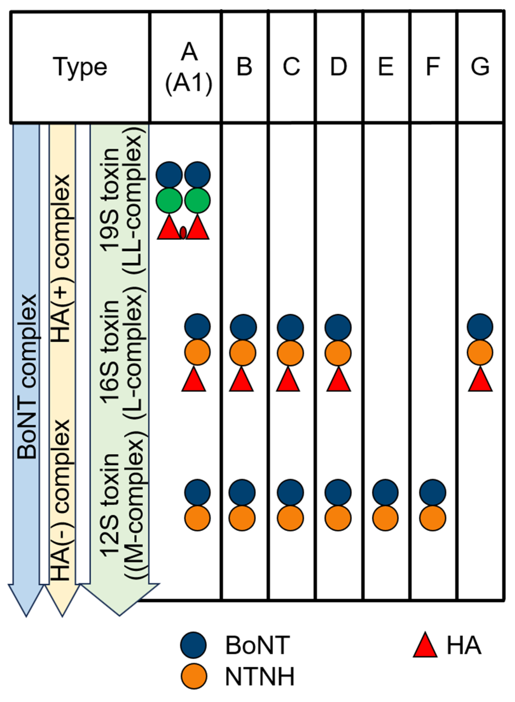 Ijms 26 00777 g001 Ijms 26 00777 g001