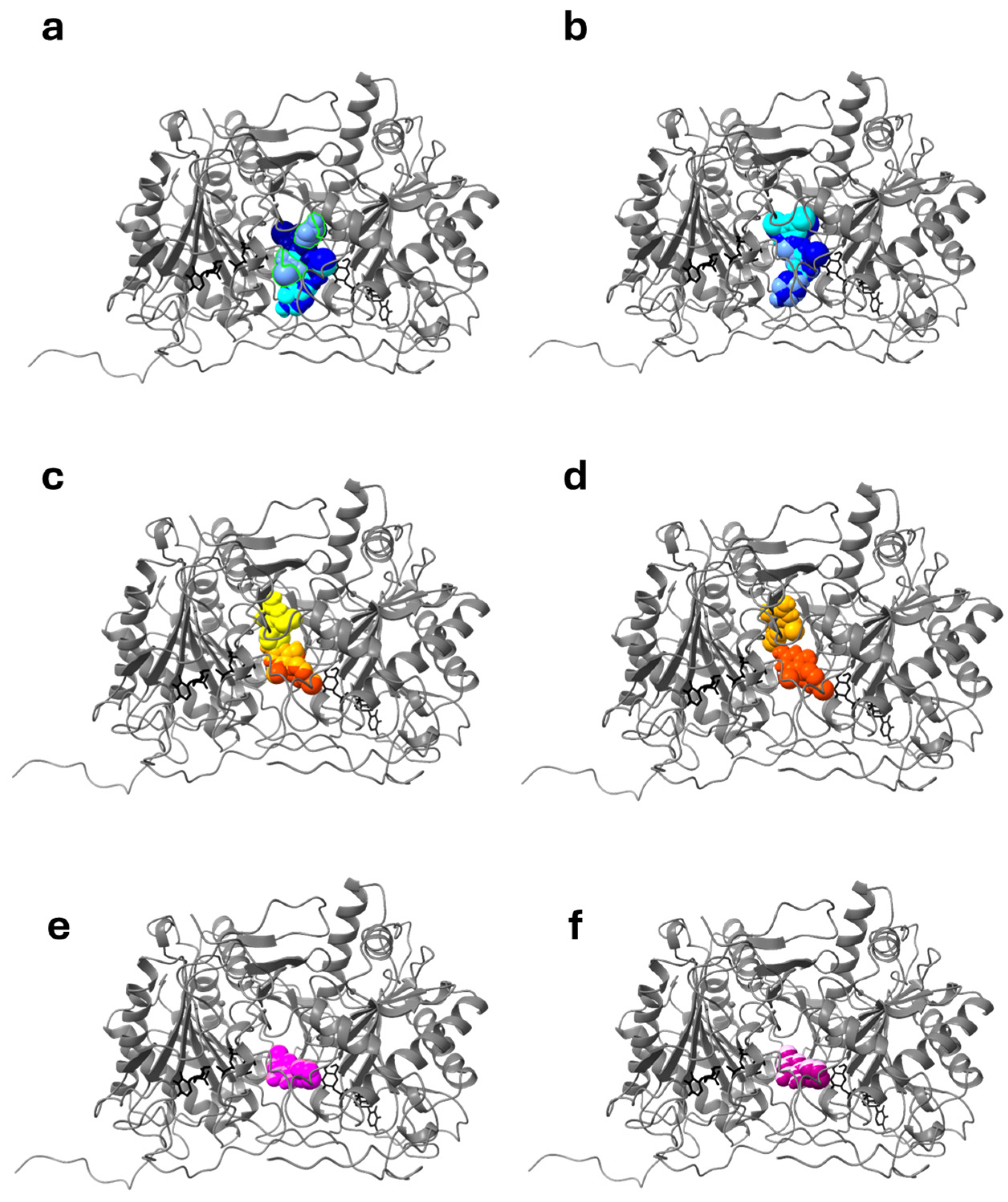 Ijms 26 00888 g003 Ijms 26 00888 g003