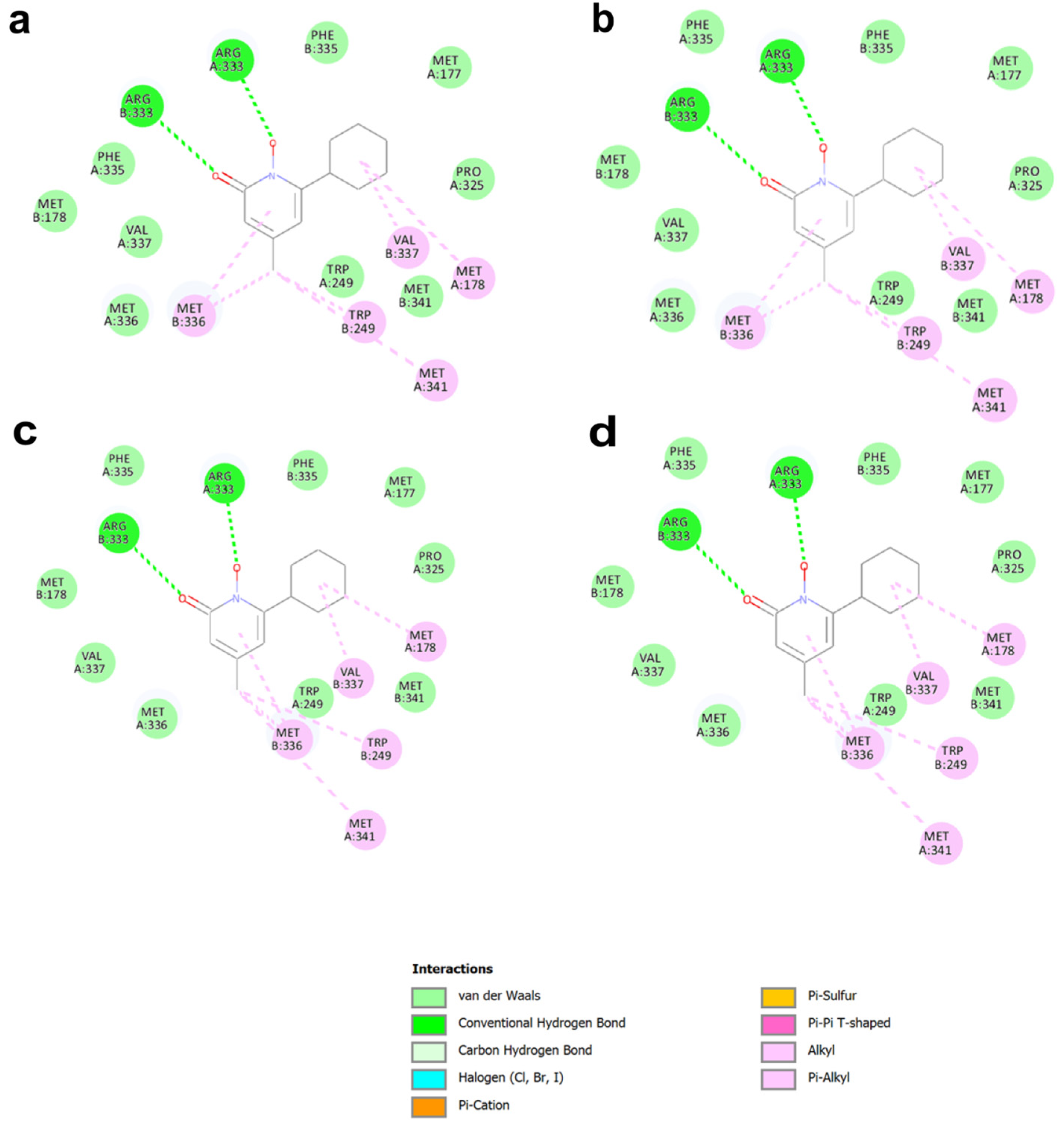 Ijms 26 00888 g004 Ijms 26 00888 g004