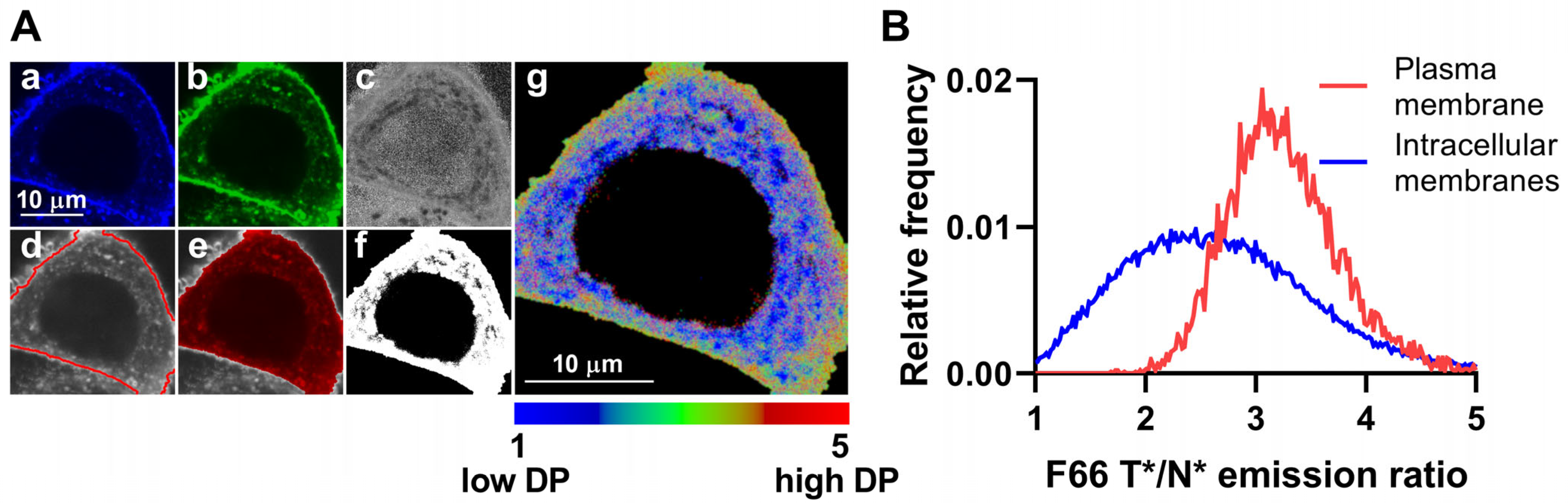 Ijms 26 00889 g001 Ijms 26 00889 g001