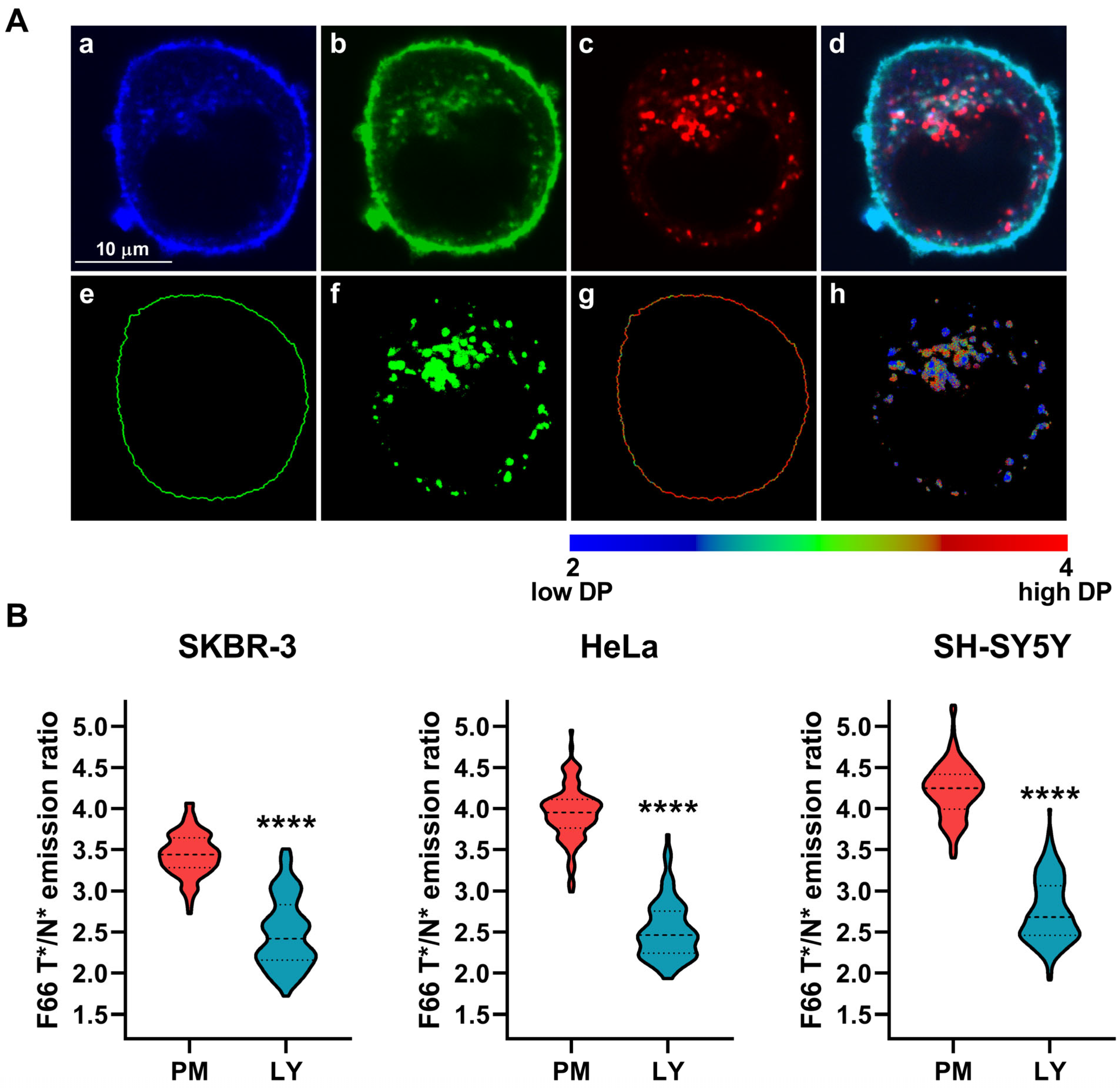 Ijms 26 00889 g002 Ijms 26 00889 g002