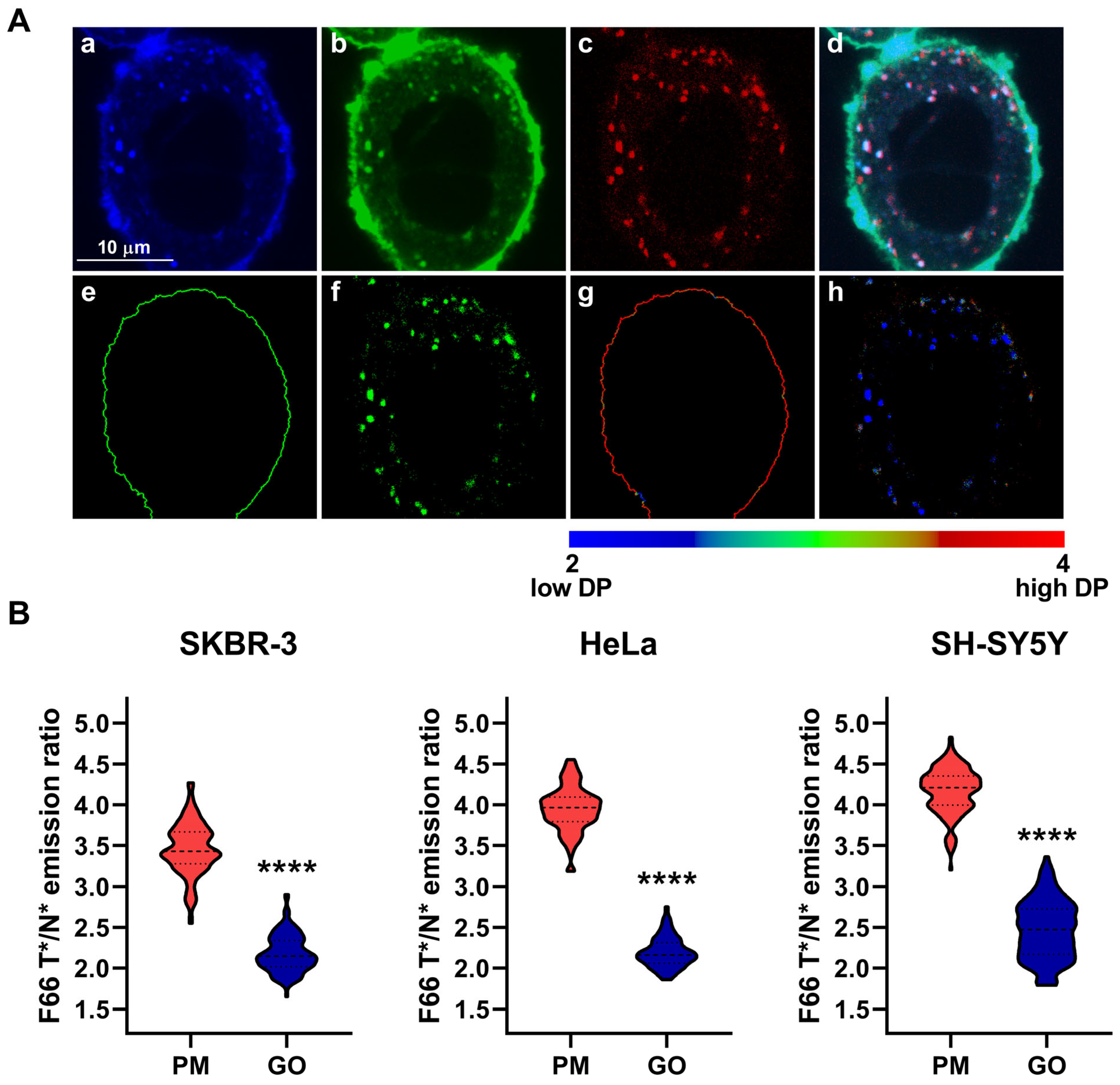 Ijms 26 00889 g003 Ijms 26 00889 g003