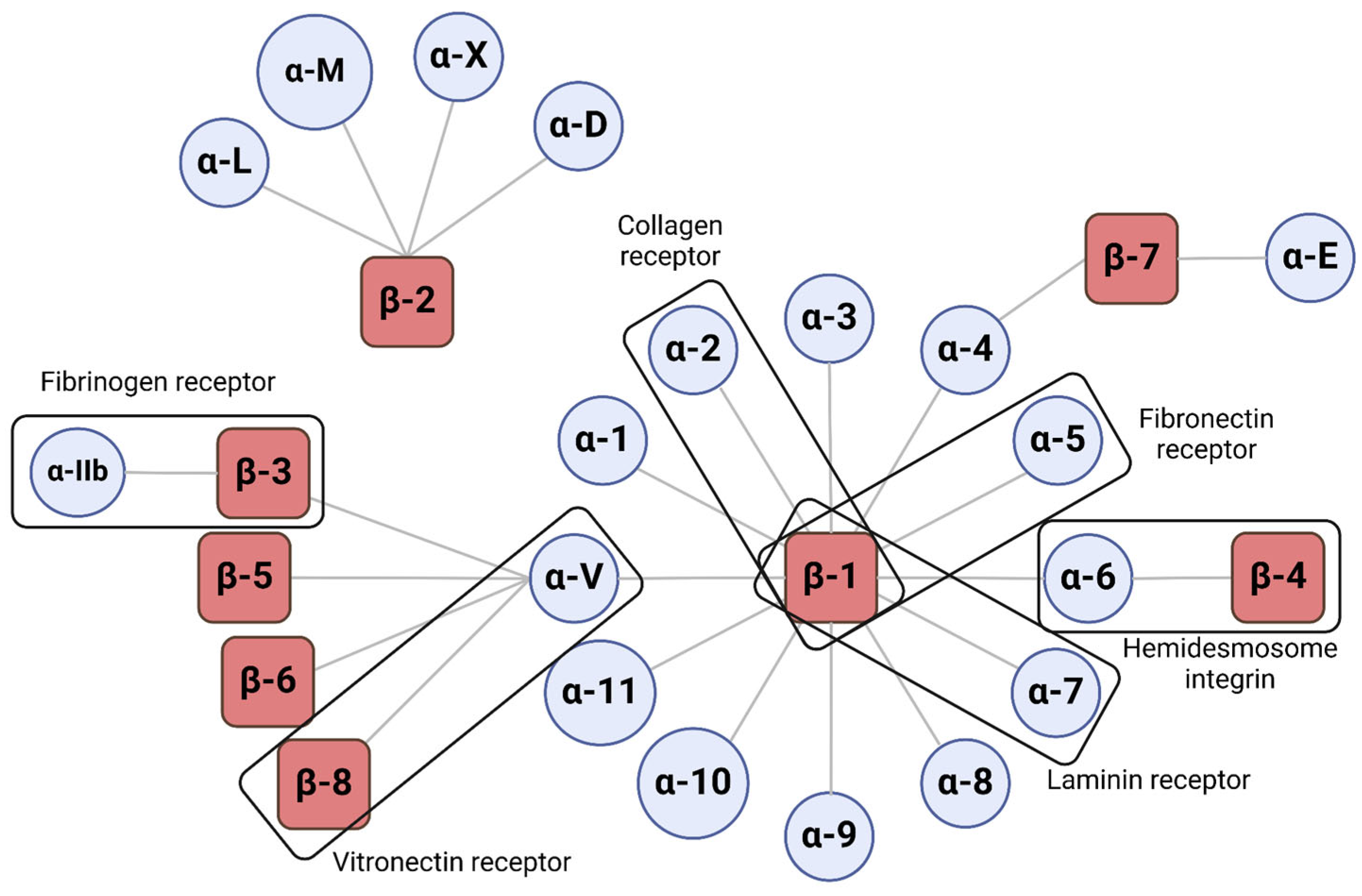 Ijms 26 00904 g002 Ijms 26 00904 g002