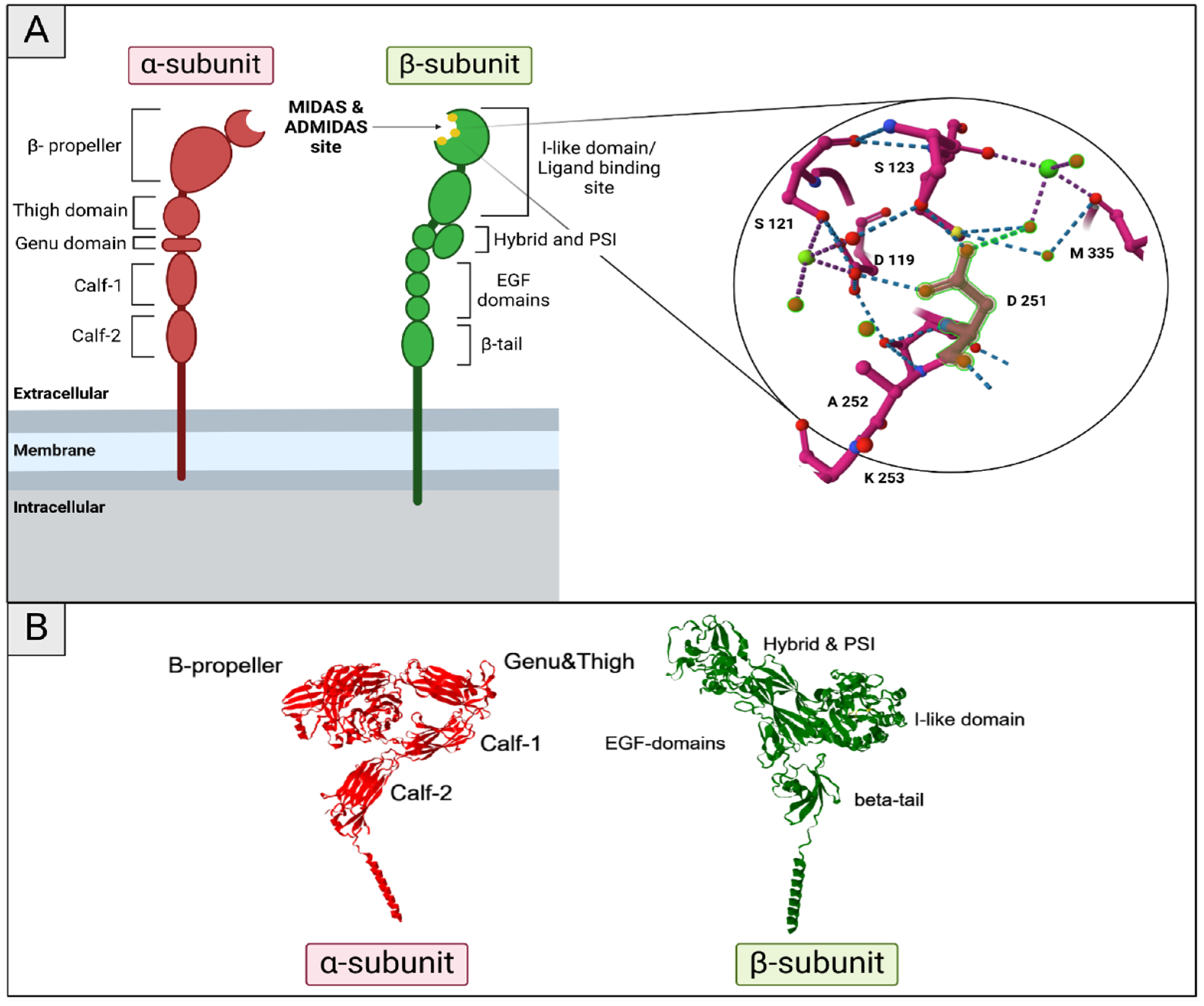 Ijms 26 00904 g003 Ijms 26 00904 g003
