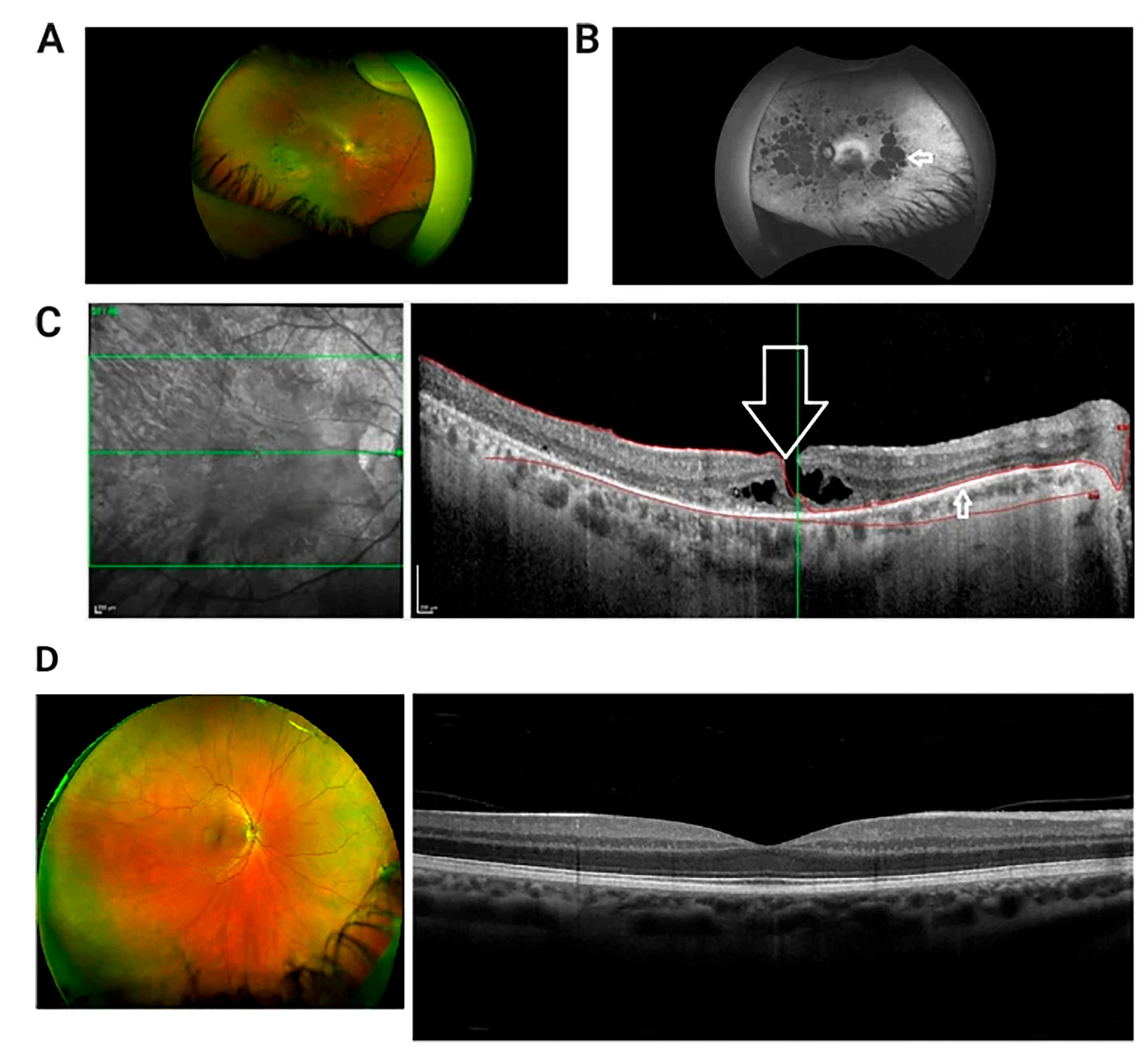 Ijms 26 00957 g001 Ijms 26 00957 g001