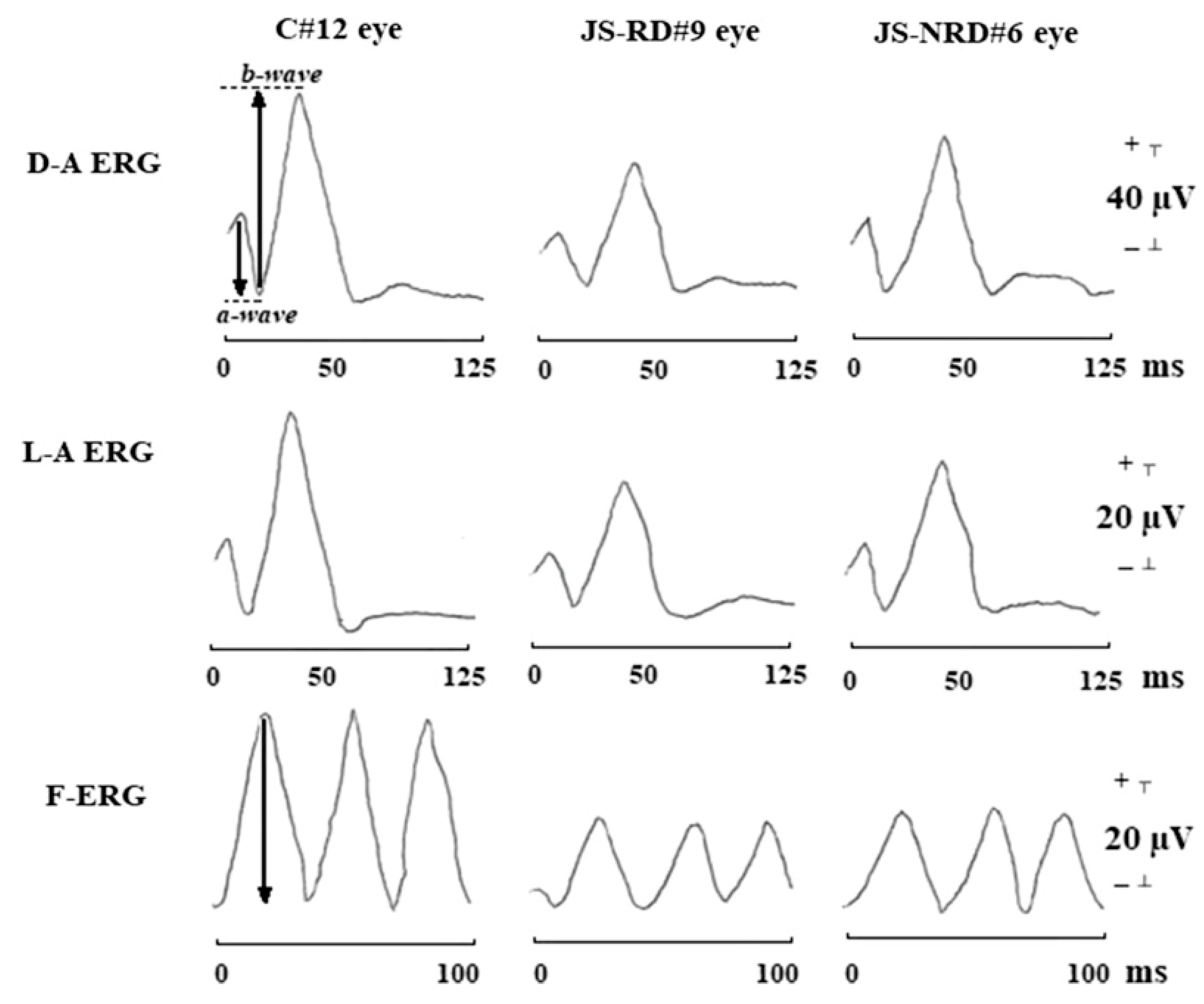 Ijms 26 00957 g006 Ijms 26 00957 g006