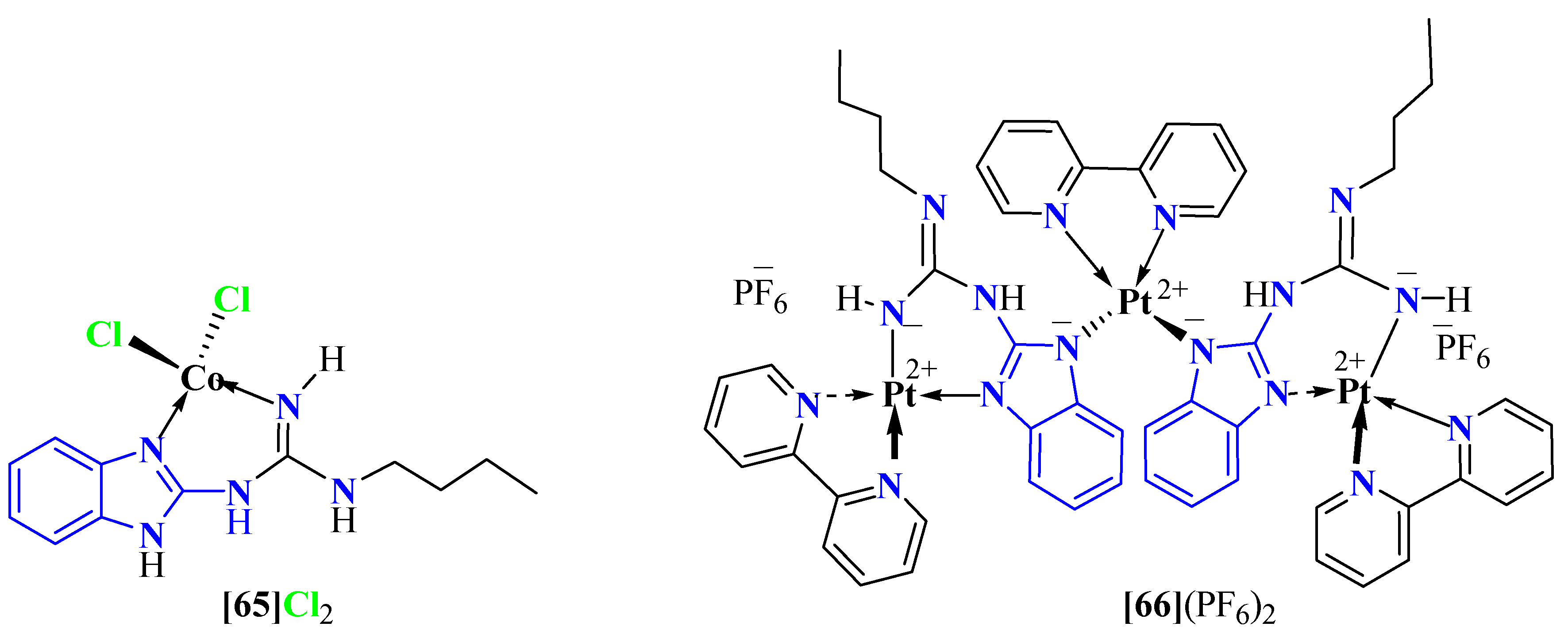 Ijms 26 01063 g016