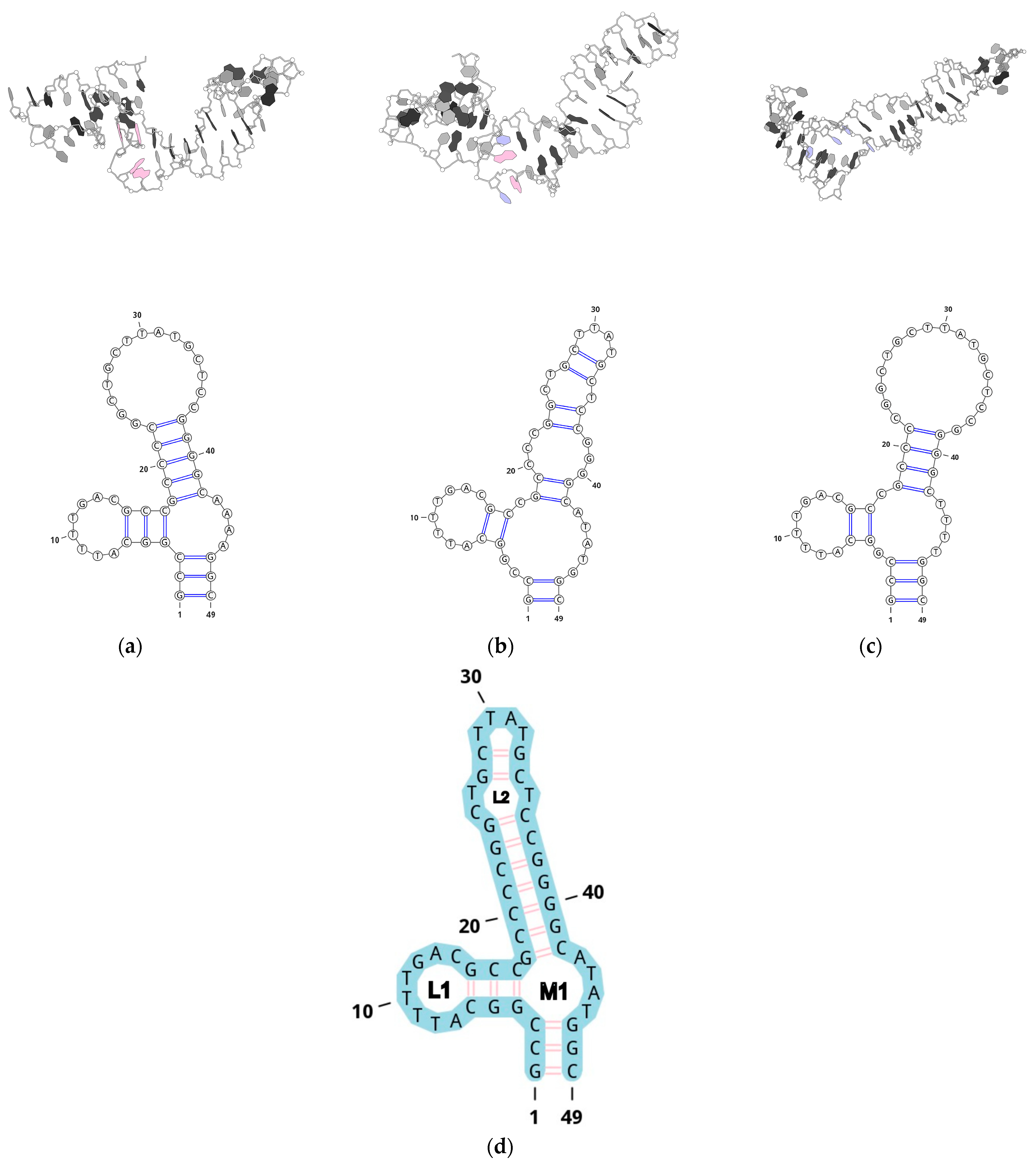 Ijms 26 01072 g002 Ijms 26 01072 g002