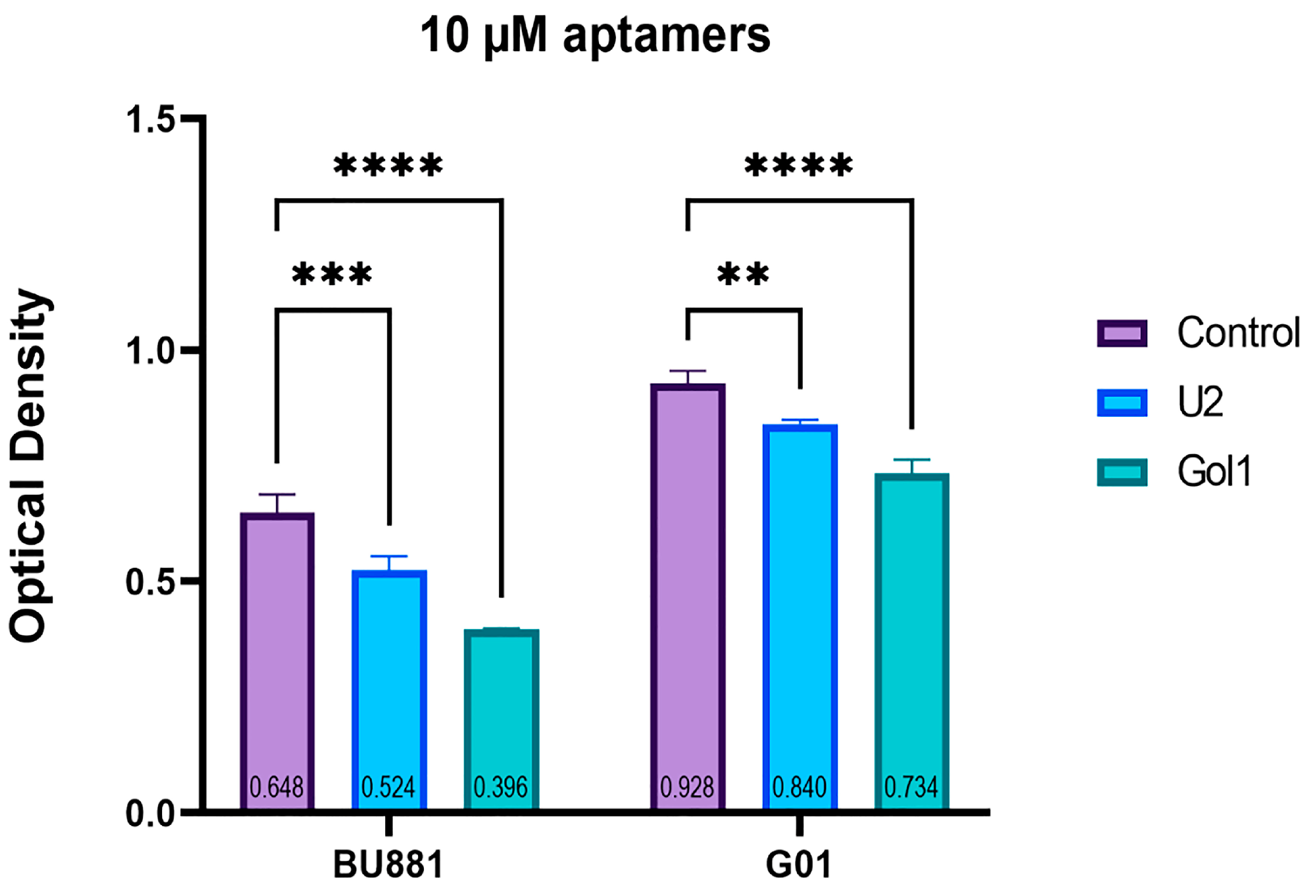 Ijms 26 01072 g004 Ijms 26 01072 g004