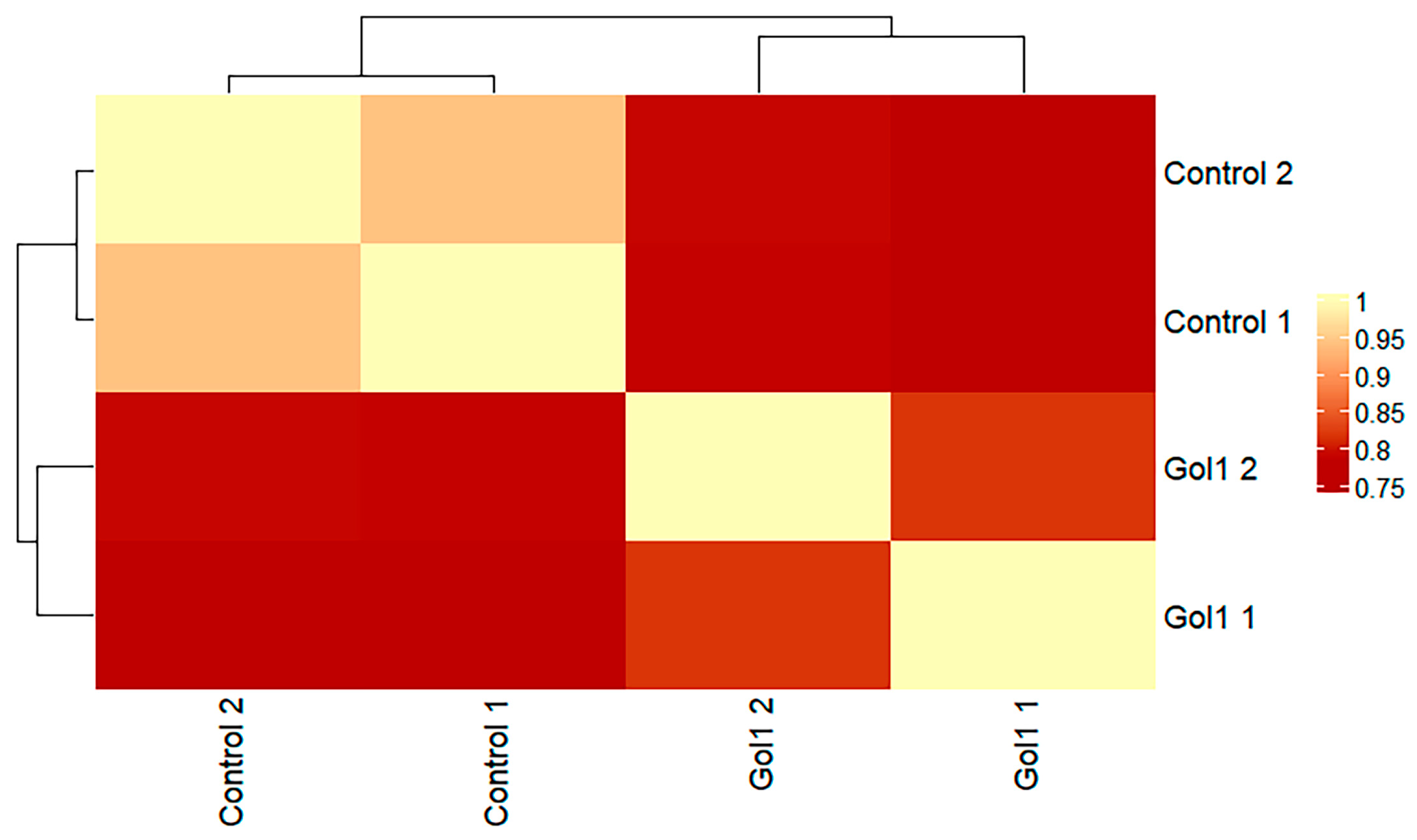 Ijms 26 01072 g007 Ijms 26 01072 g007