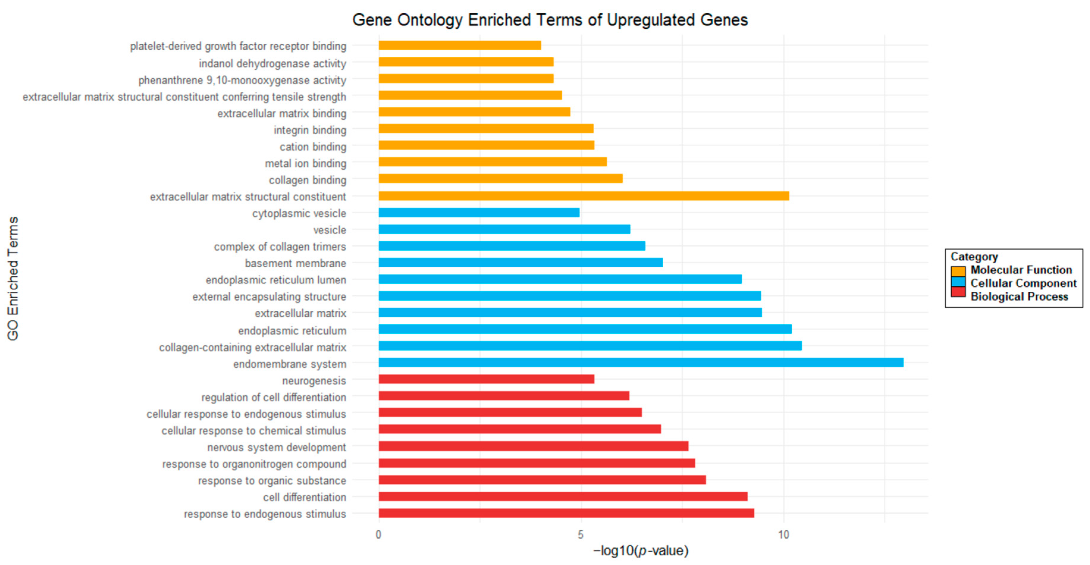 Ijms 26 01072 g010 Ijms 26 01072 g010