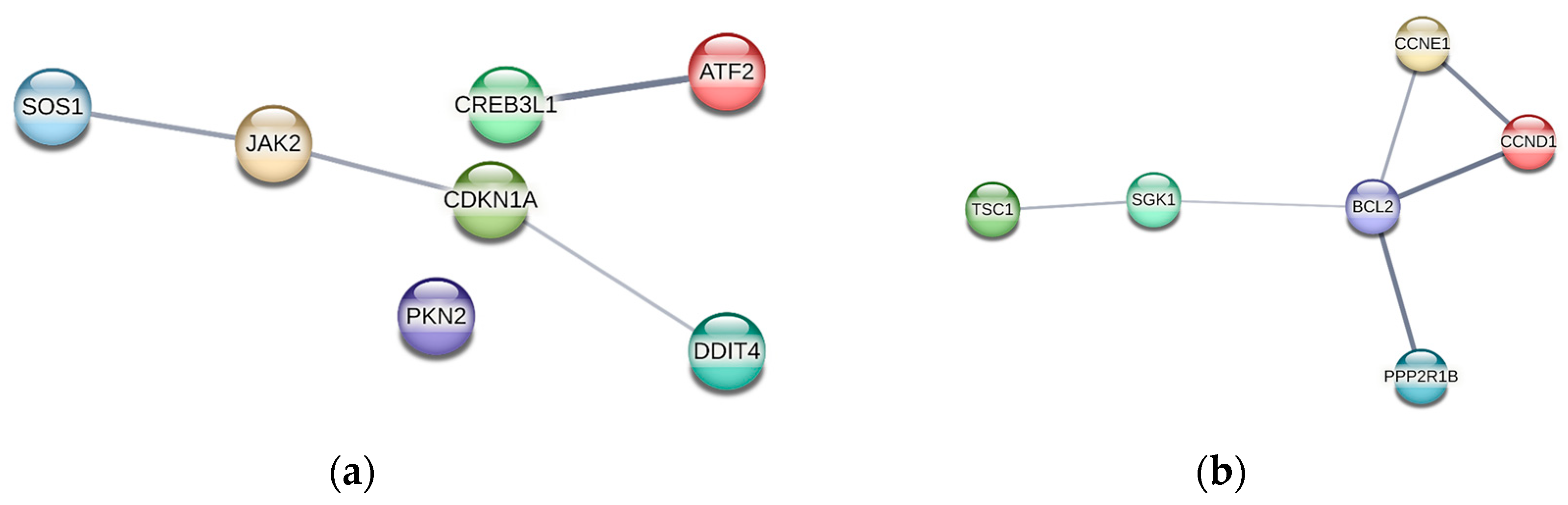 Ijms 26 01072 g012 Ijms 26 01072 g012