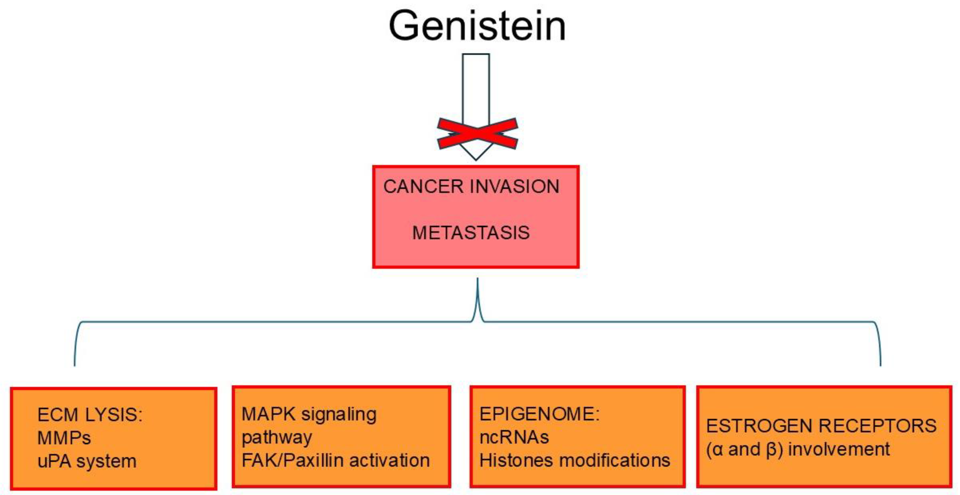 Ijms 26 01114 g003 Ijms 26 01114 g003