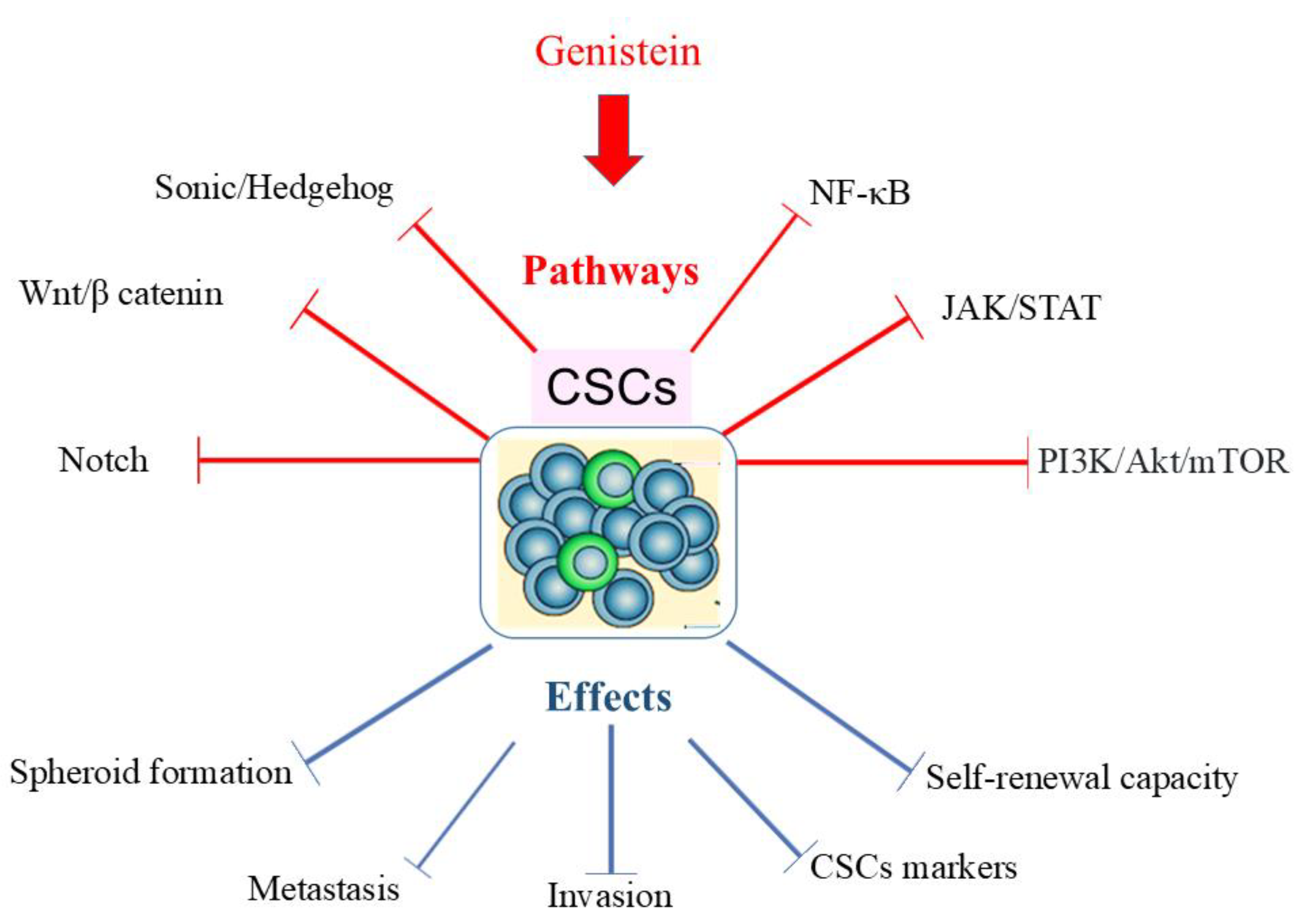 Ijms 26 01114 g005 Ijms 26 01114 g005