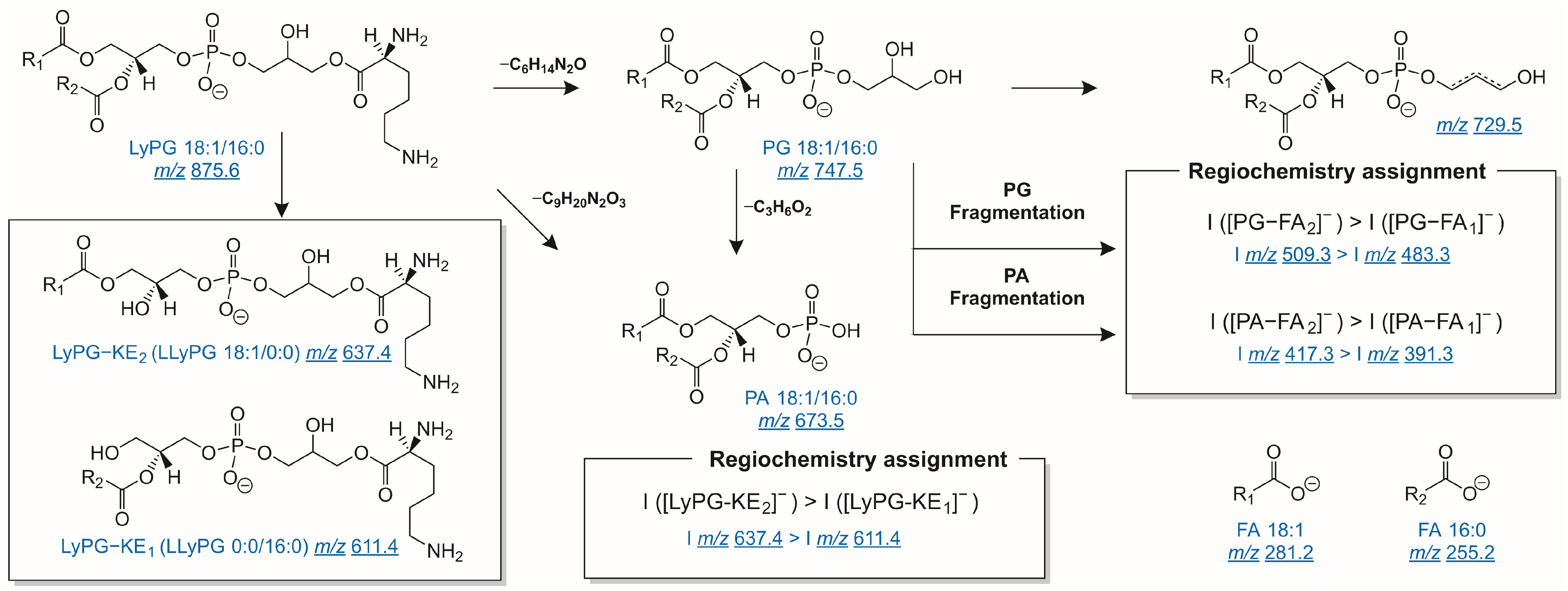 Ijms 26 01120 sch001