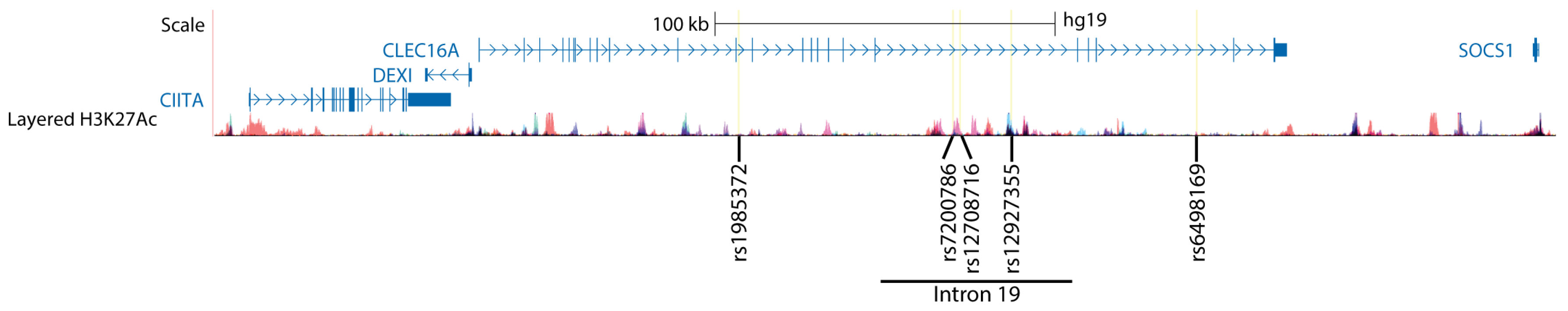 Ijms 26 01175 g001 Ijms 26 01175 g001