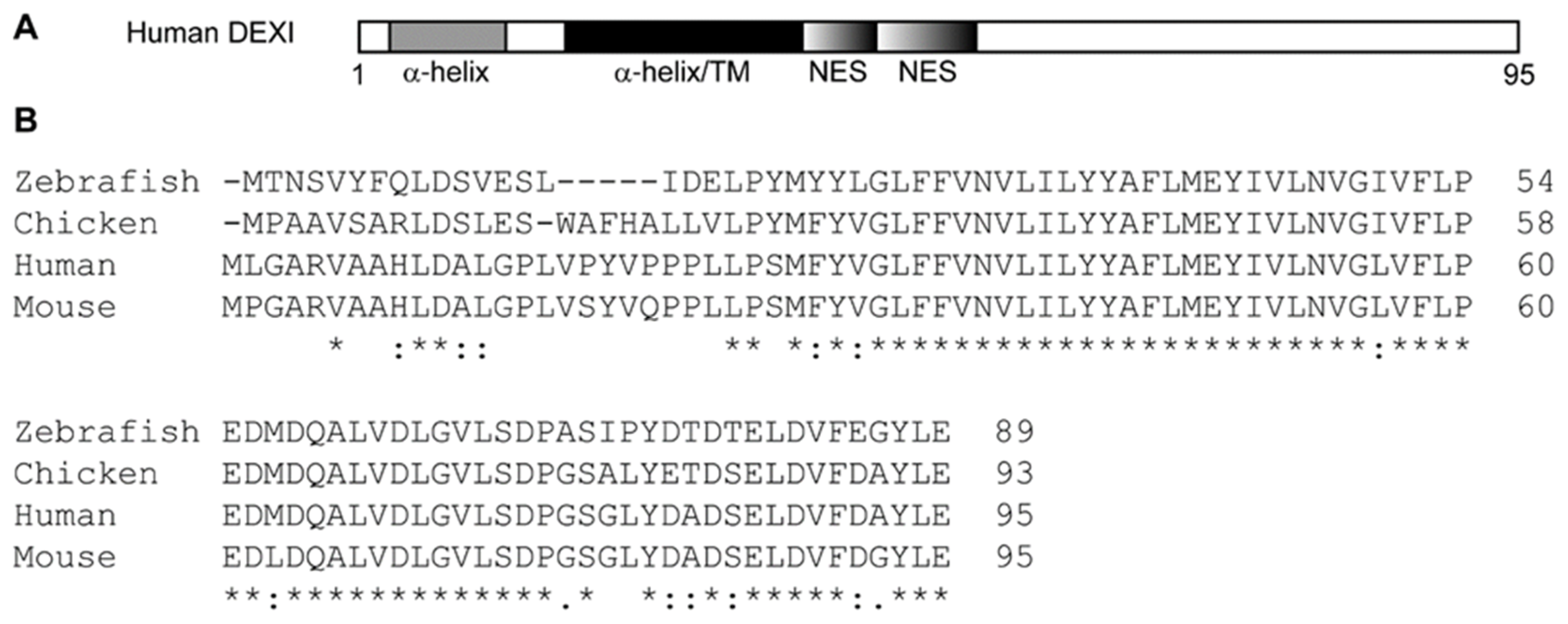 Ijms 26 01175 g003 Ijms 26 01175 g003