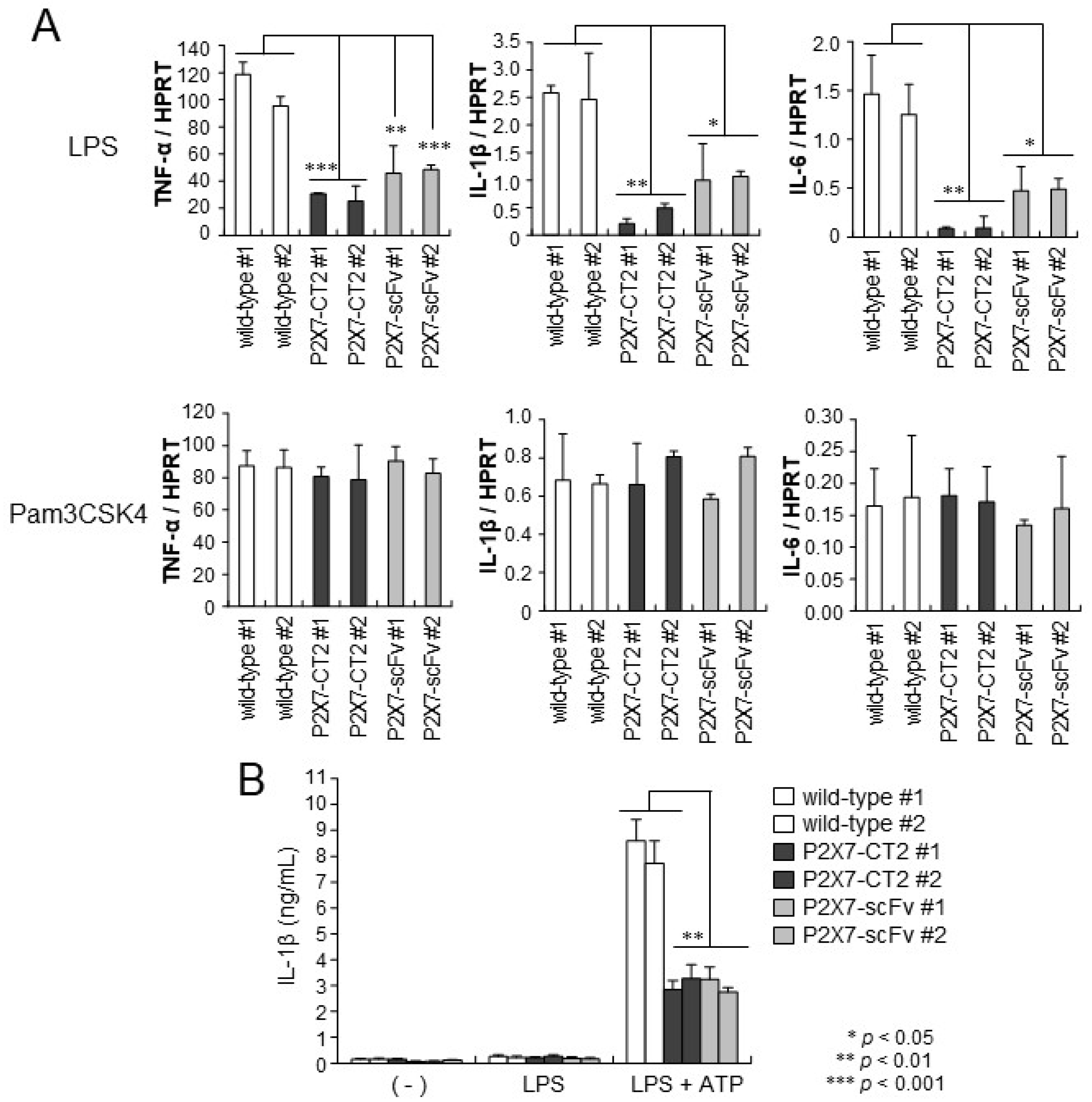 Ijms 26 01178 g003 Ijms 26 01178 g003