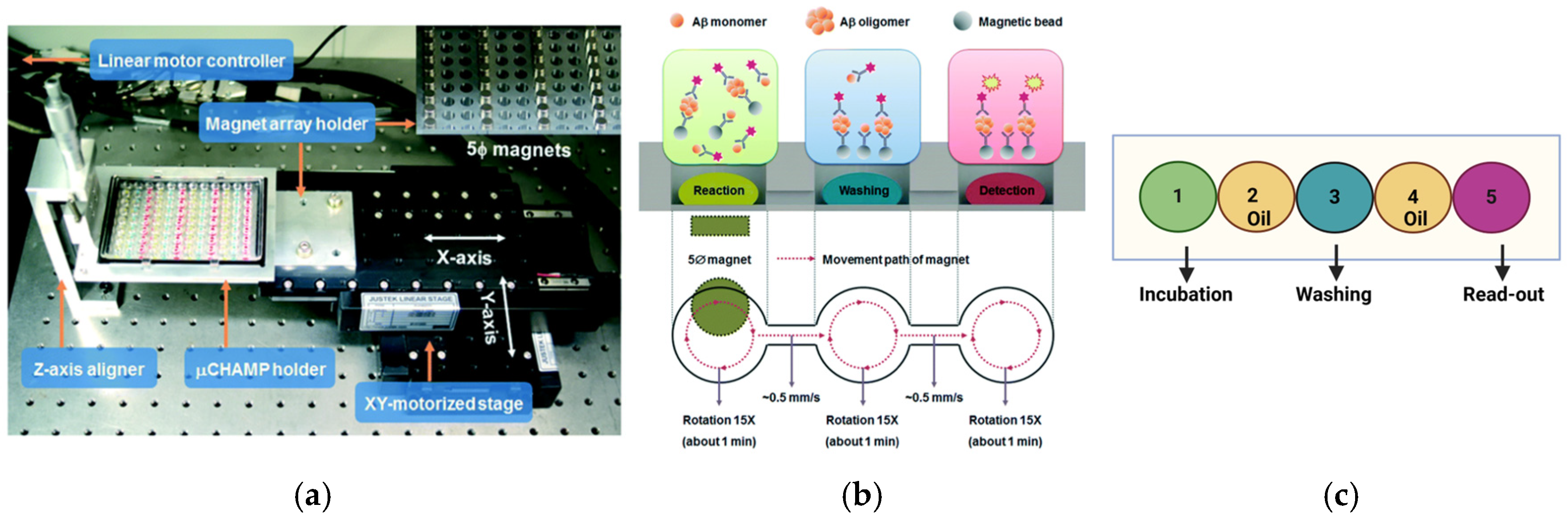 Ijms 26 01199 g002 Ijms 26 01199 g002
