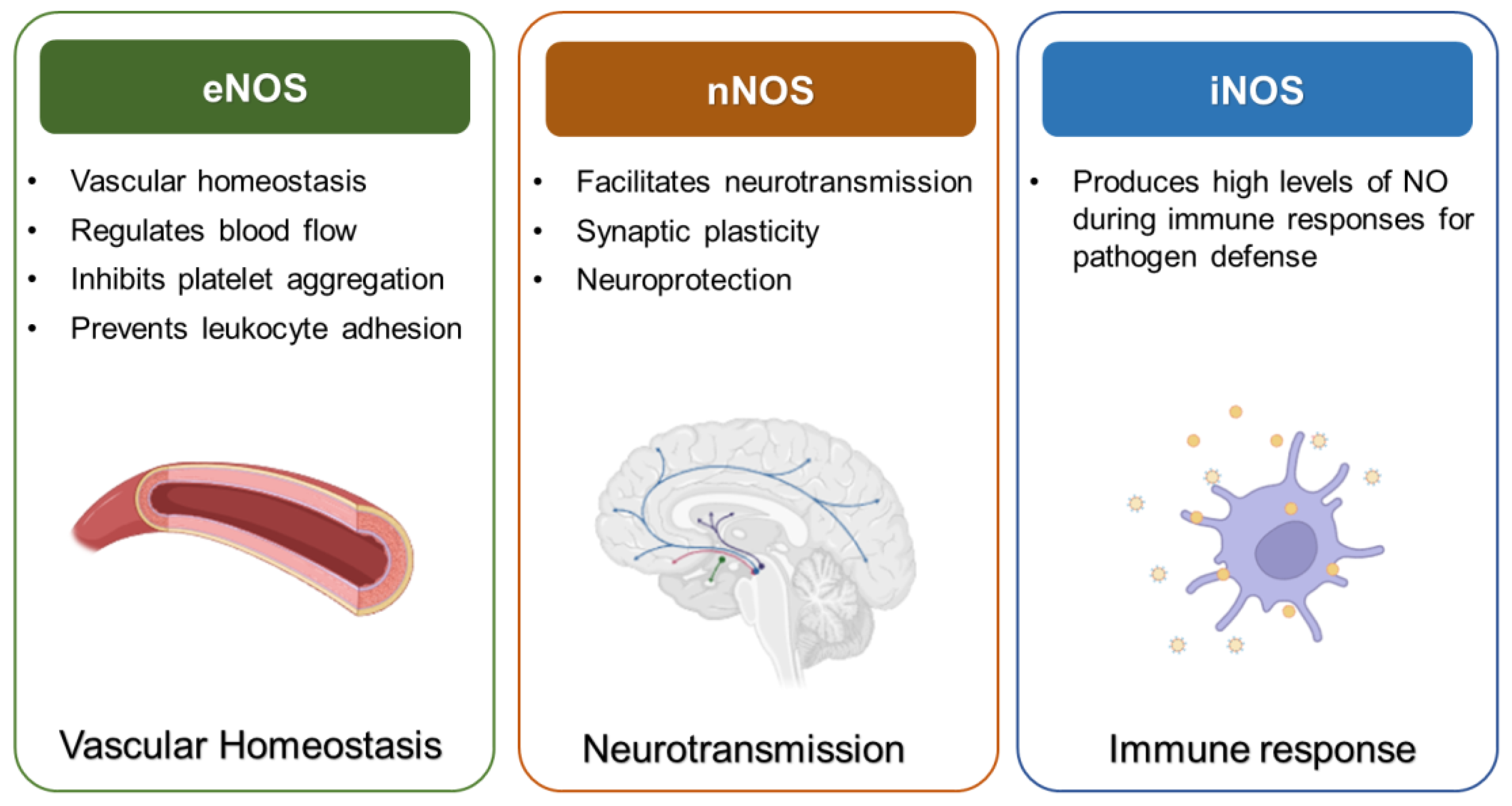 Ijms 26 01204 g001 Ijms 26 01204 g001