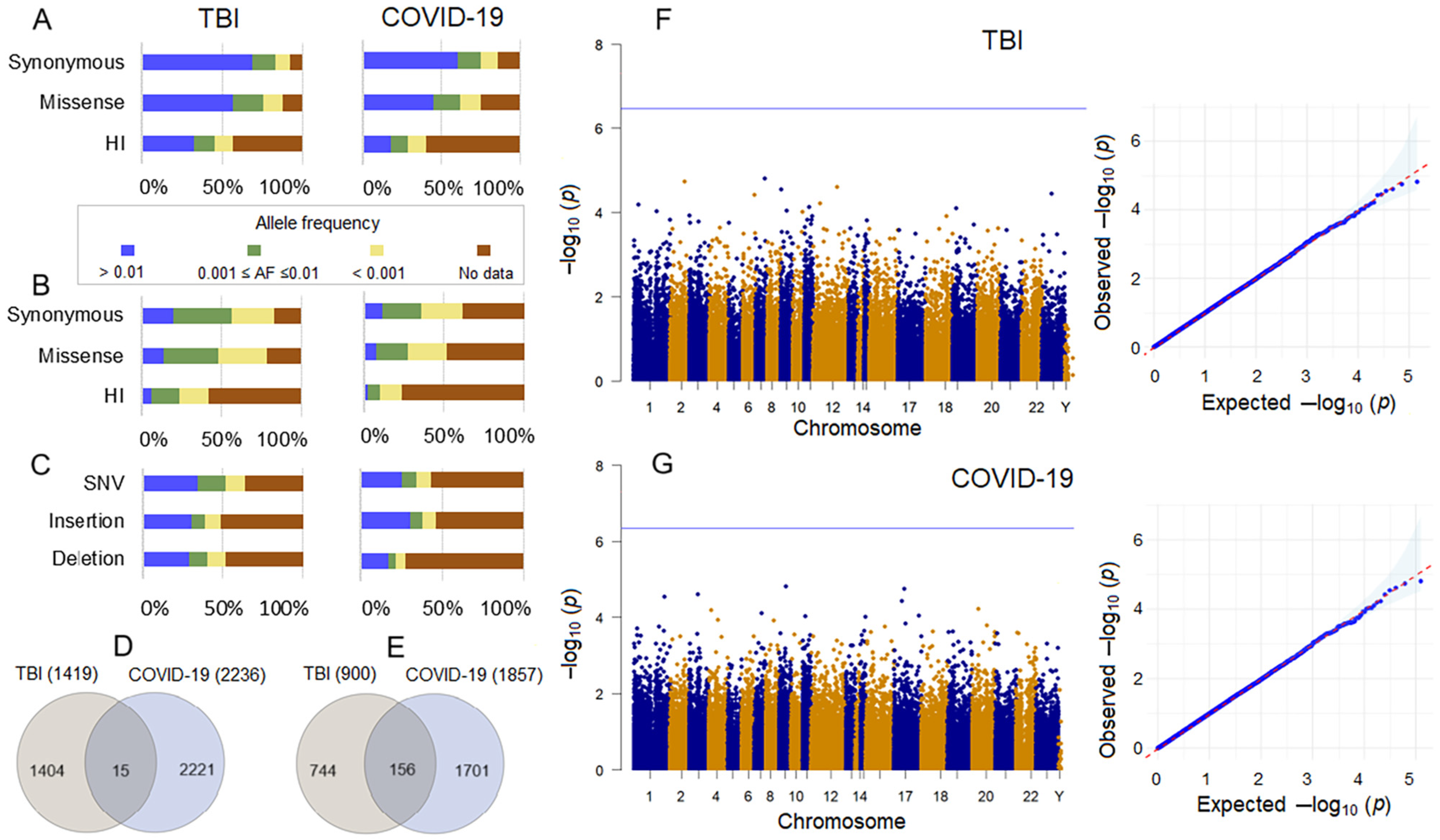 Ijms 26 01239 g004 Ijms 26 01239 g004