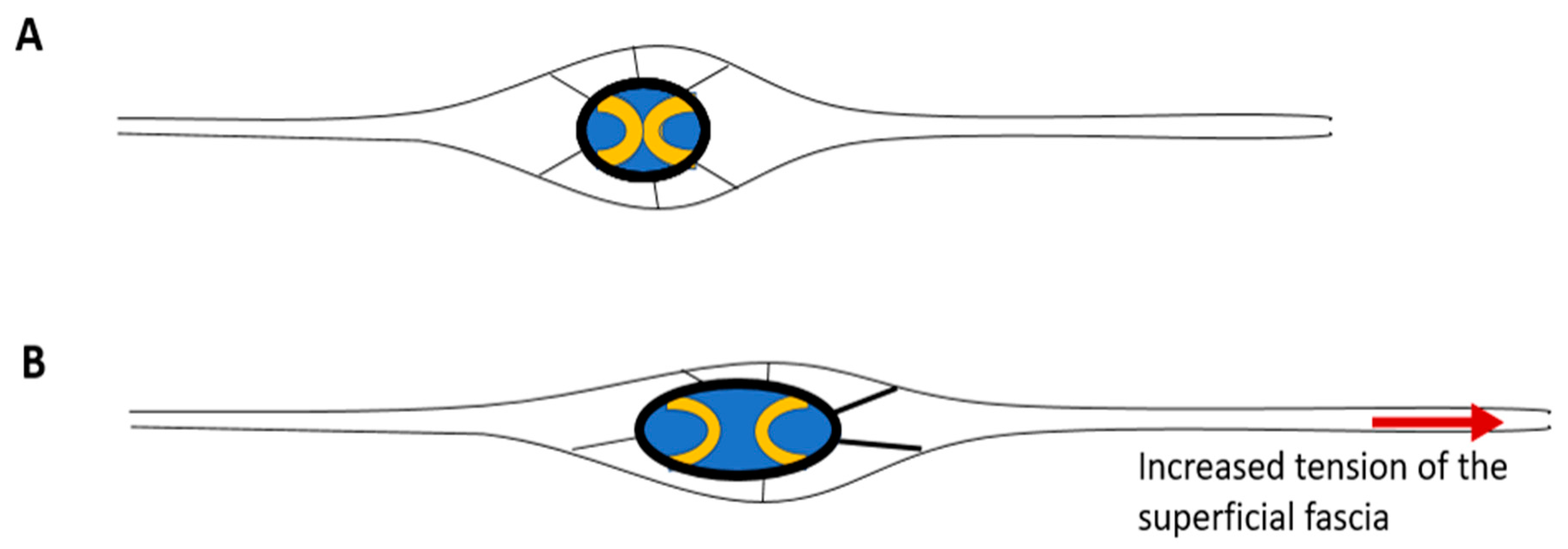 Ijms 26 01289 g002 Ijms 26 01289 g002