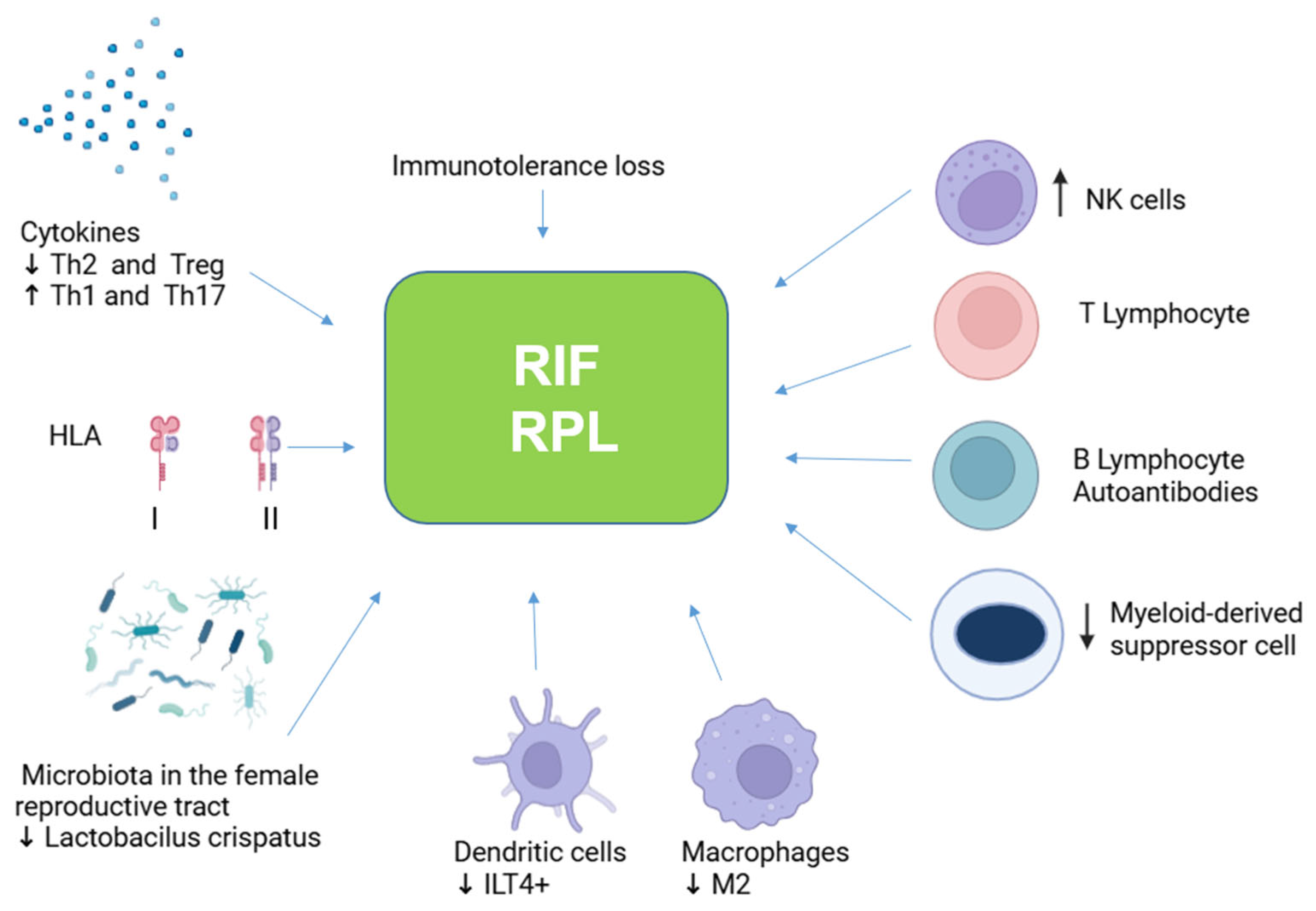 Ijms 26 01295 g001 Ijms 26 01295 g001