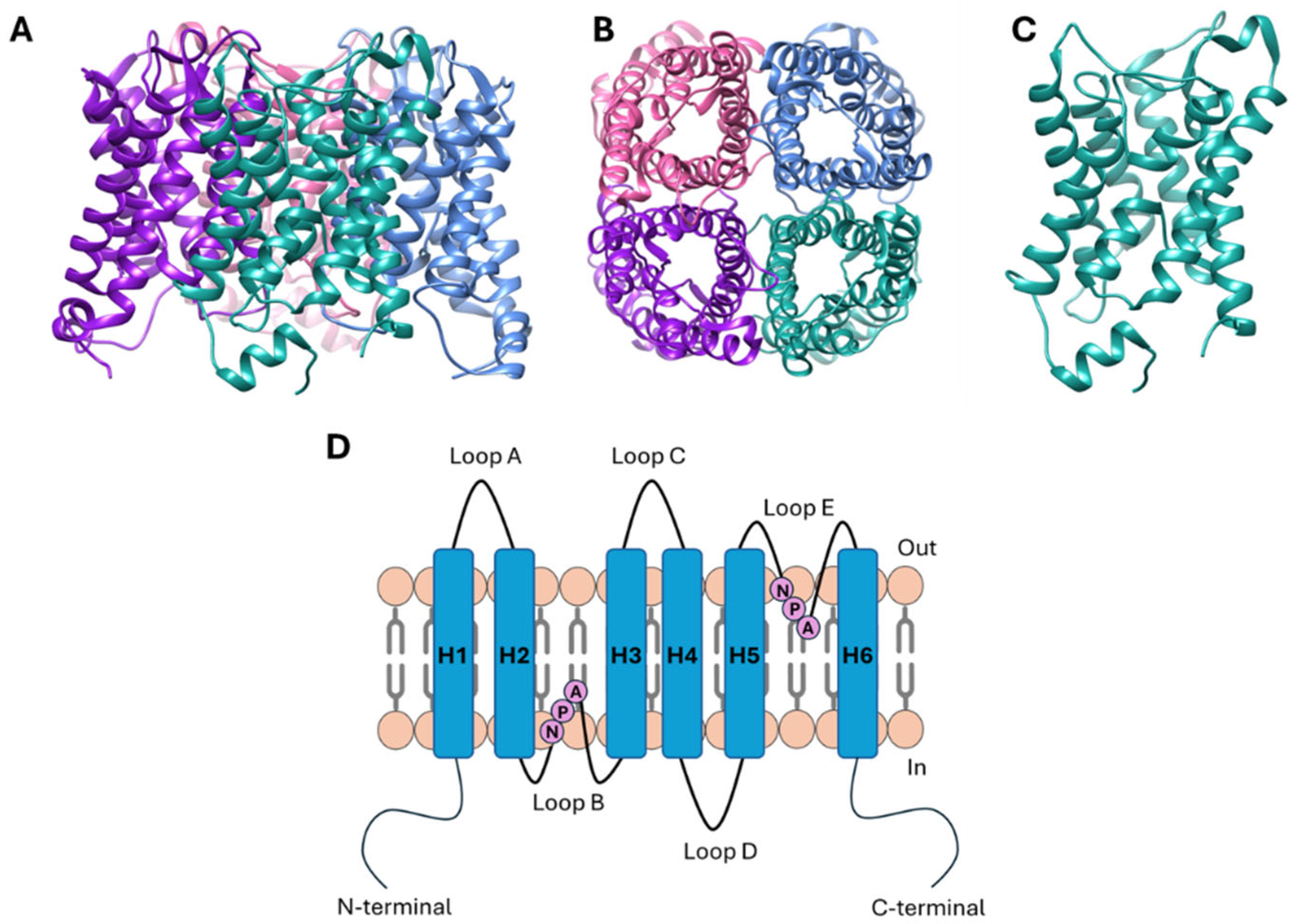 Ijms 26 01330 g001 Ijms 26 01330 g001