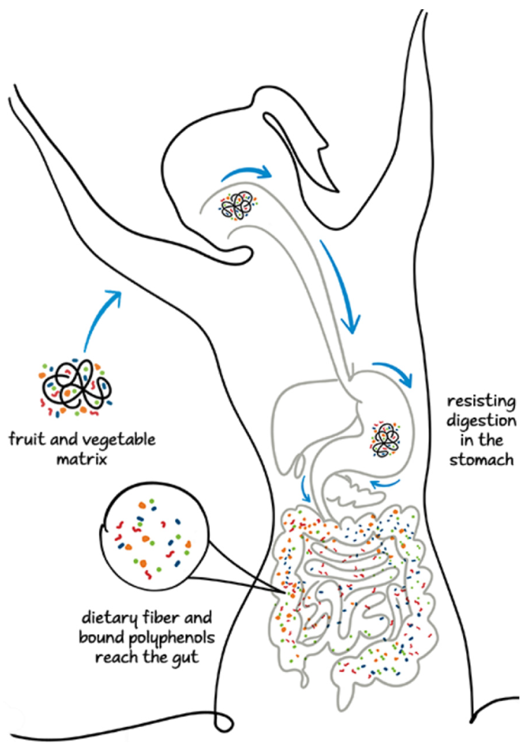 Ijms 26 01335 g001 Ijms 26 01335 g001