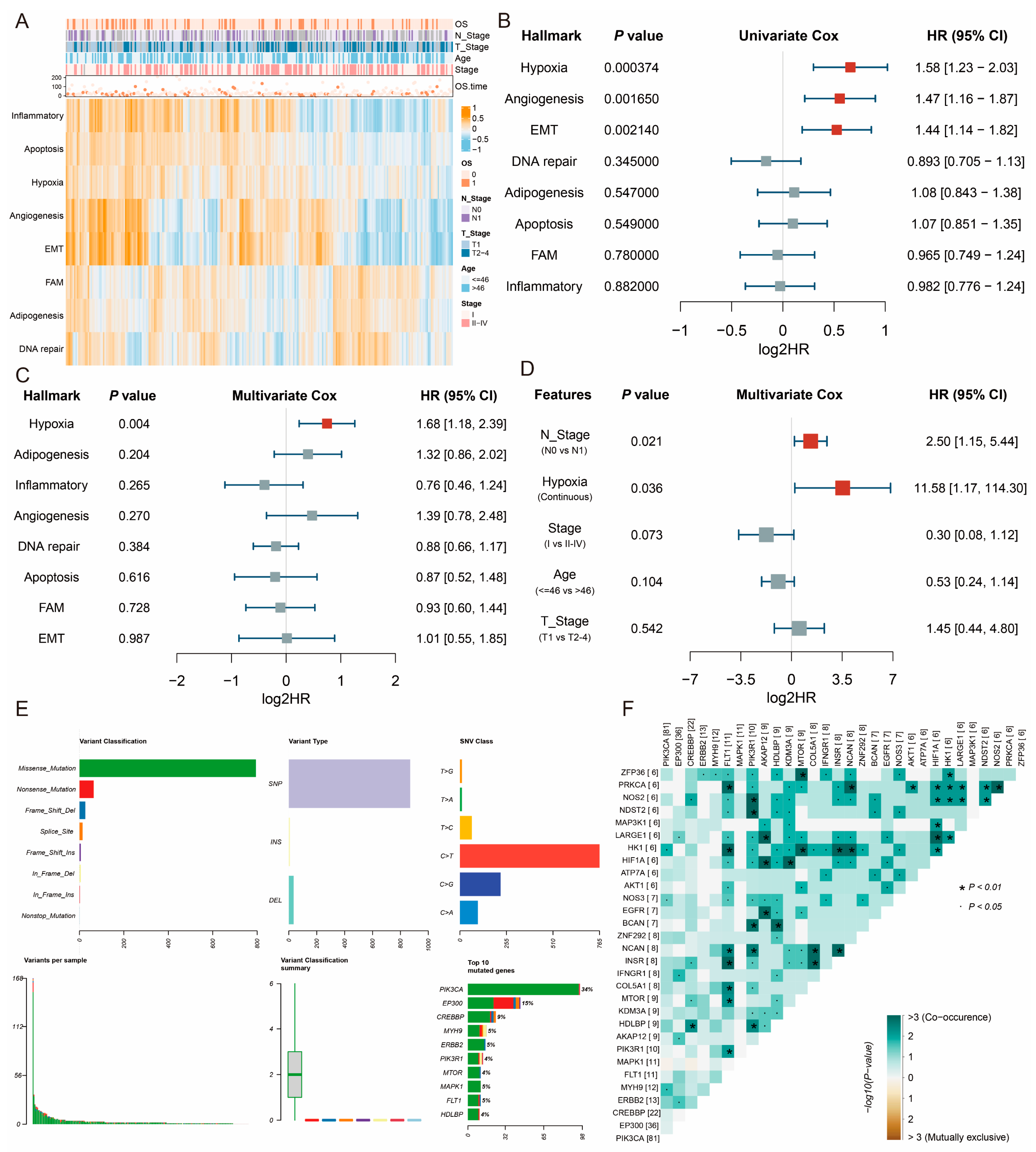 Ijms 26 01362 g001 Ijms 26 01362 g001