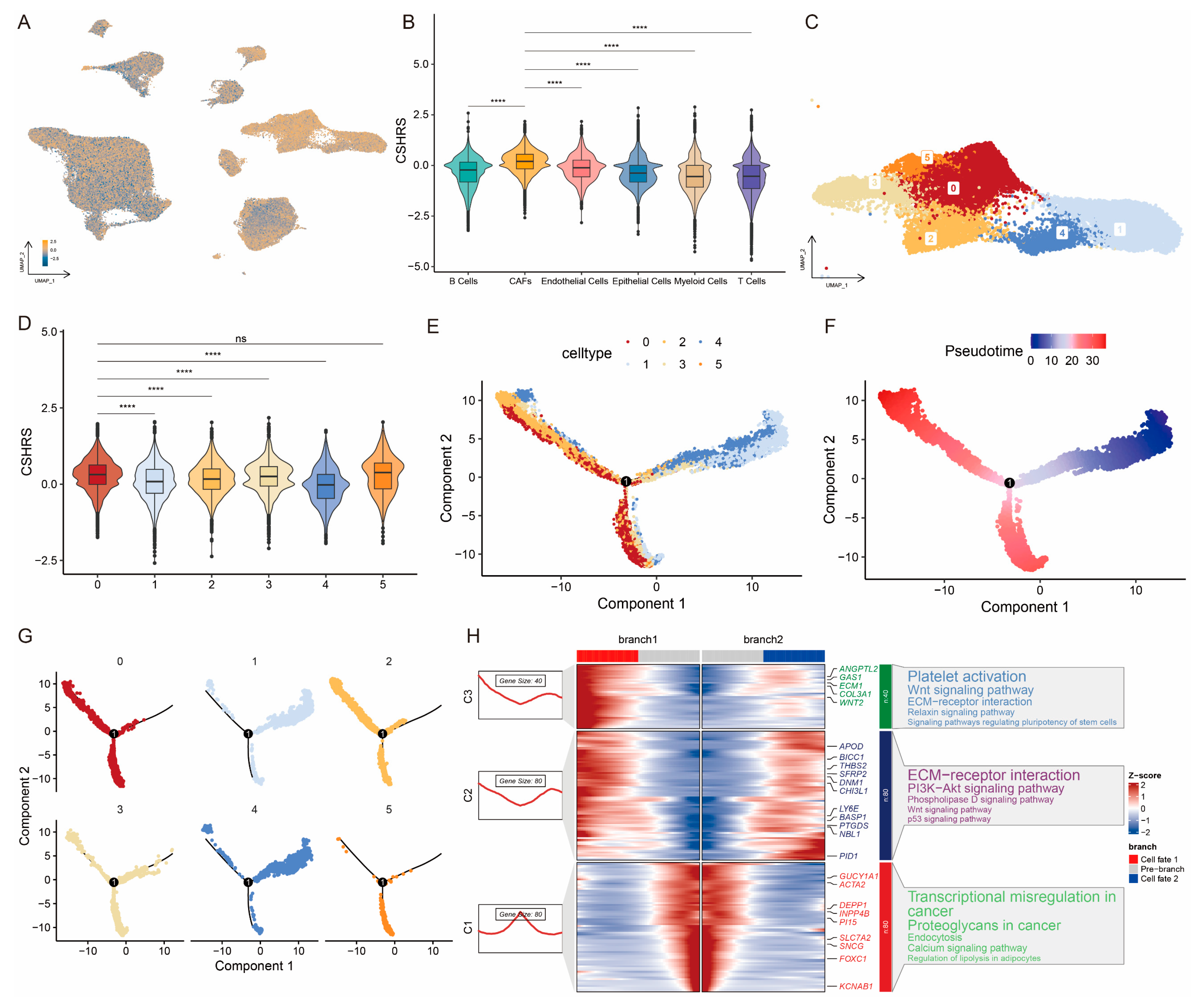 Ijms 26 01362 g005 Ijms 26 01362 g005