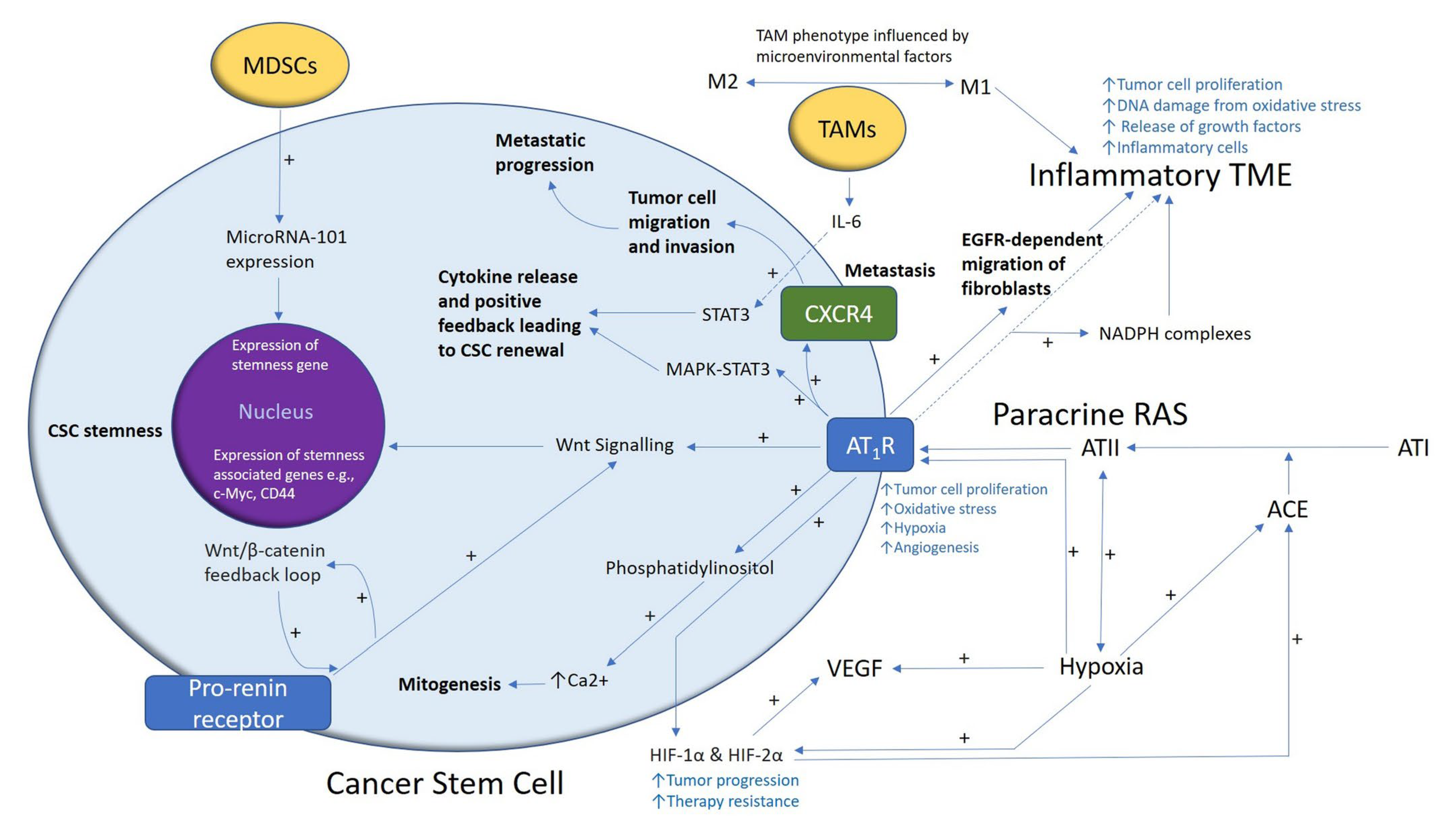 Ijms 26 01389 g003 Ijms 26 01389 g003