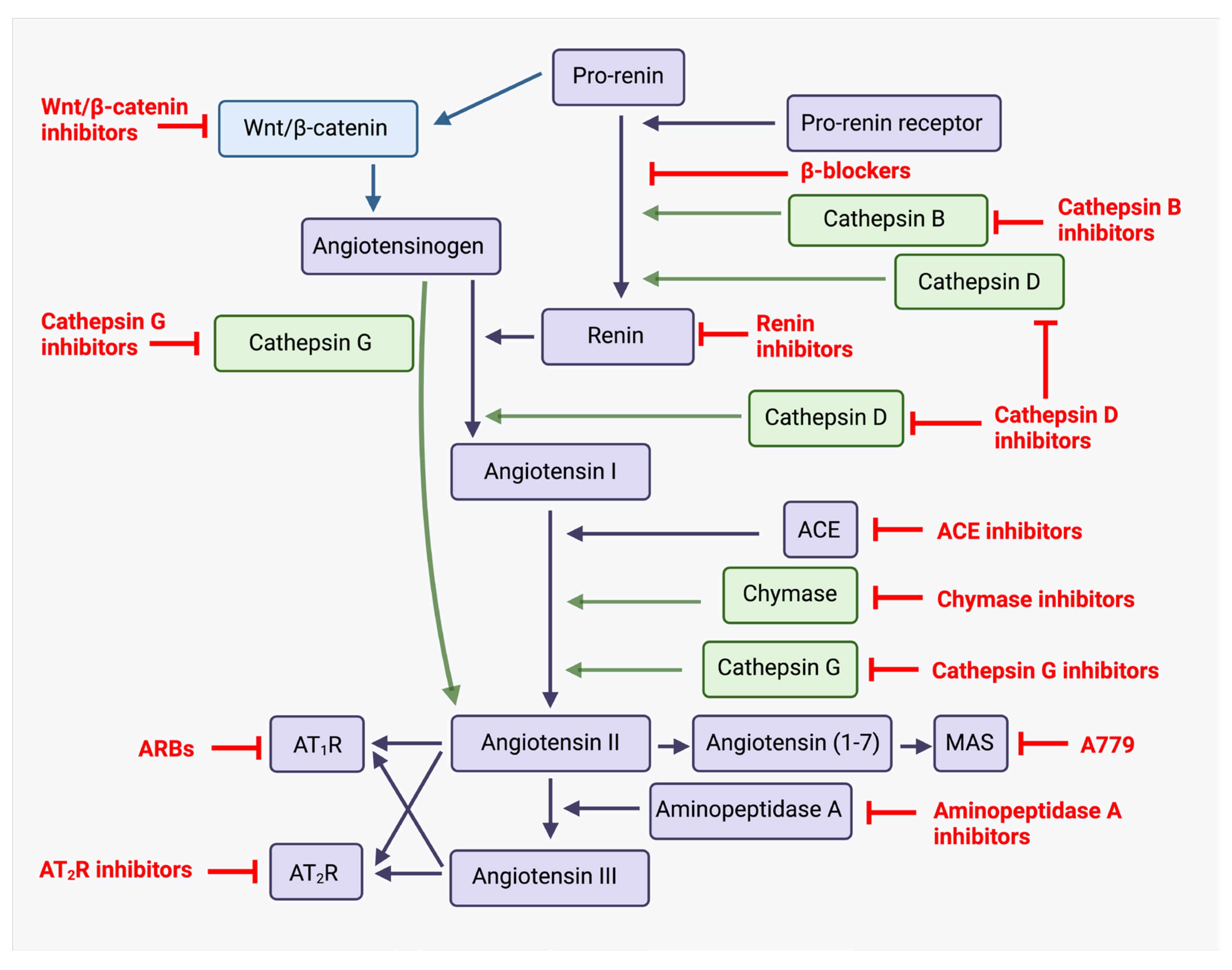 Ijms 26 01389 g006 Ijms 26 01389 g006